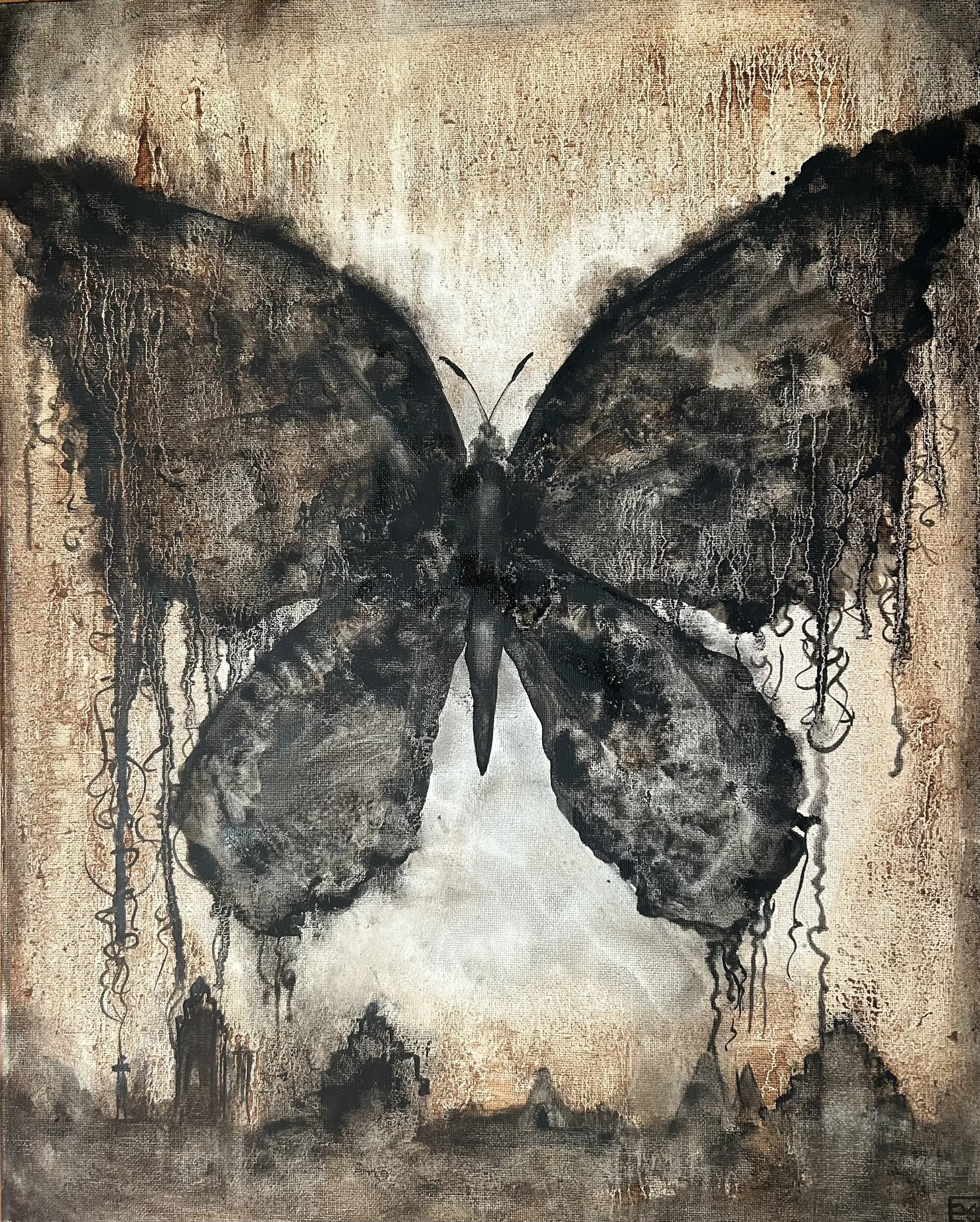 Black Butterfly.  Oil on Canvas. 40 x 50cm. $250