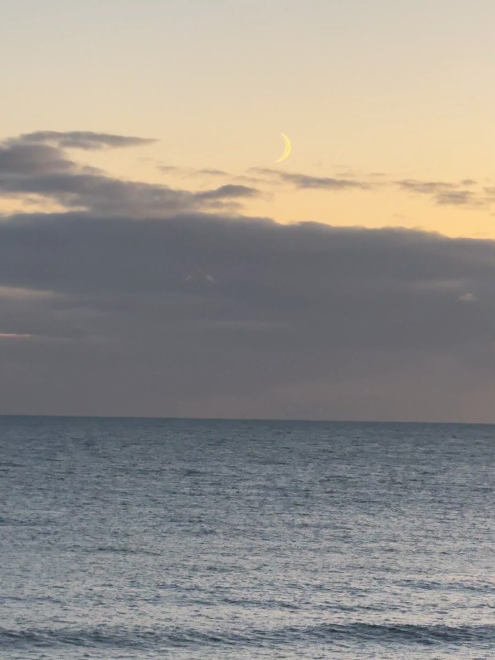 I think this has been one of the most crisp &amp; beautiful autumns that I can remember. Very happy to get cosy &amp; hibernate for the foreseeable 🦔 🍂 🌙