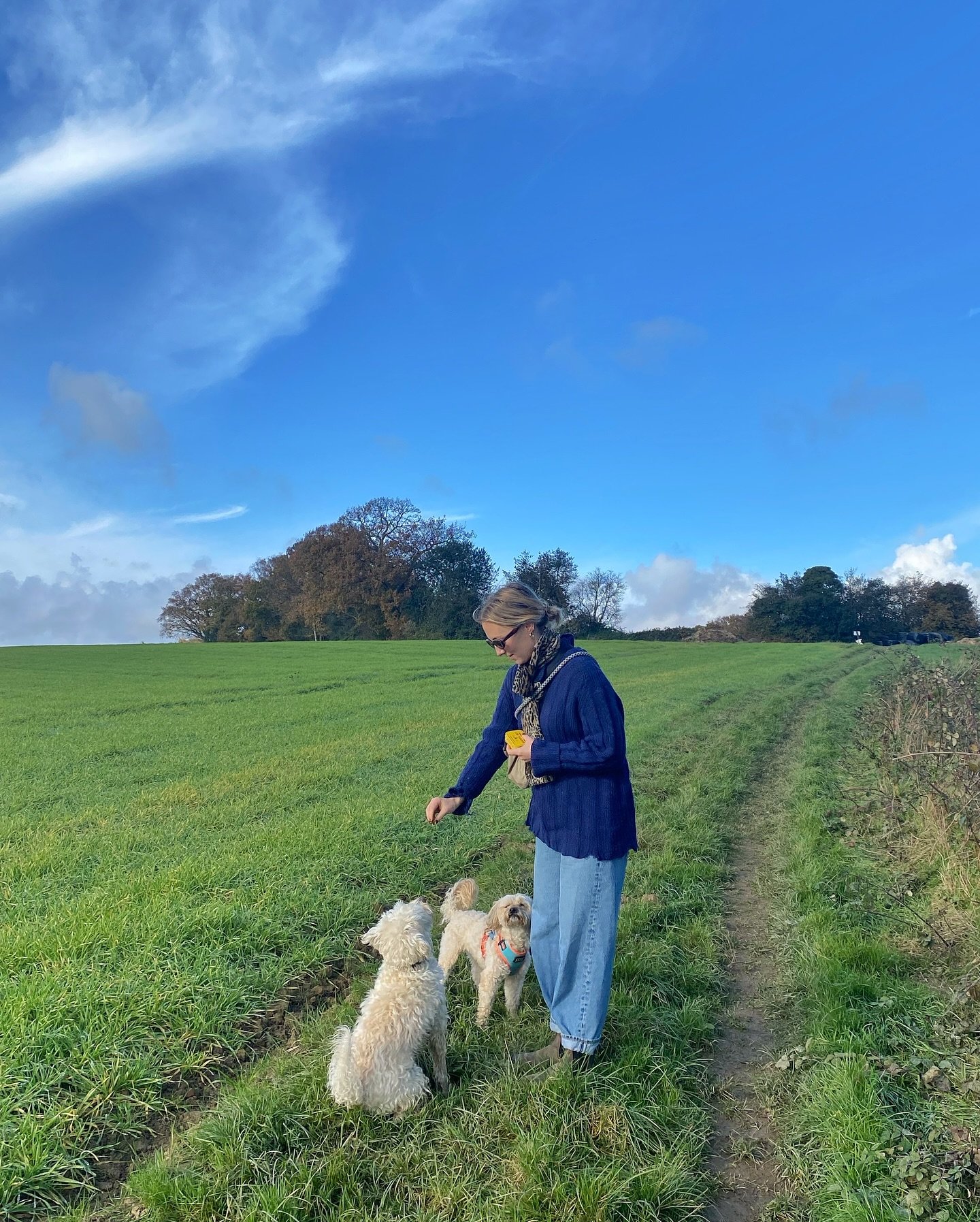 Cosy cosy autumn 🍂