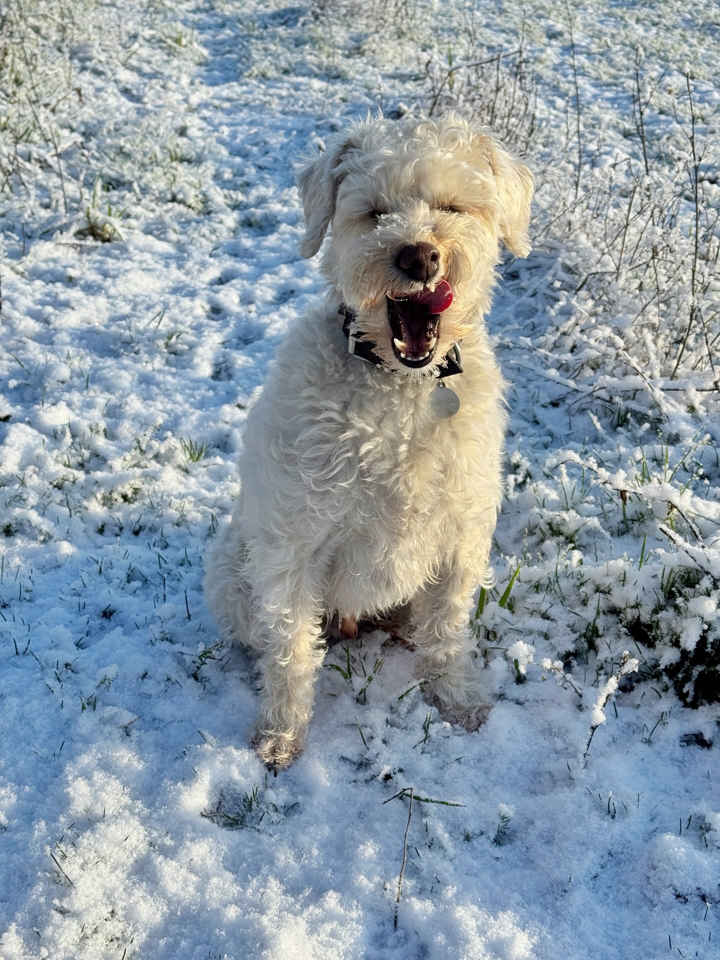how lucky to have snow in both Scotland &amp; St Len 🤍