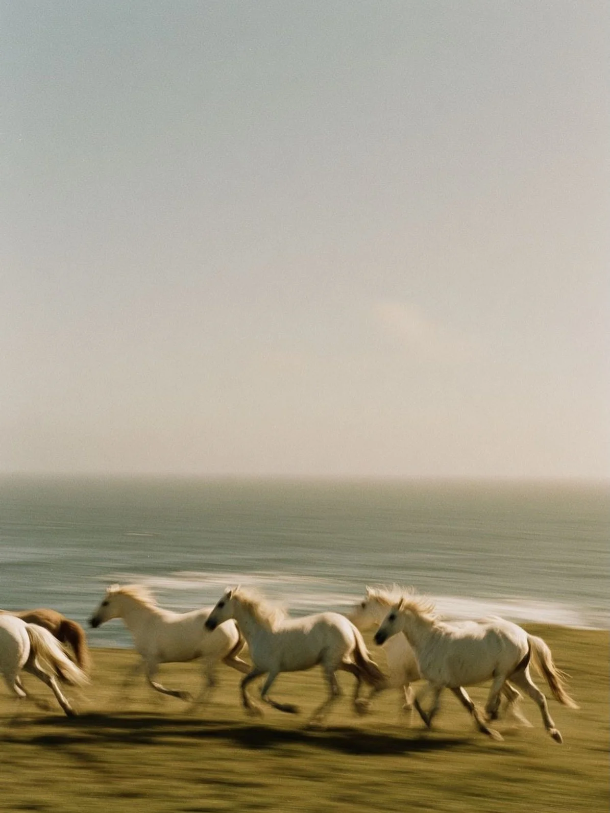 I&rsquo;ve been channeling the year of the Fire Horse since January 1st, but of course, it officially starts today as the Chinese New Year begins 🌙 ✨ I&rsquo;ve spoken to quite a few people who are harnessing this energy and resonating with the hors