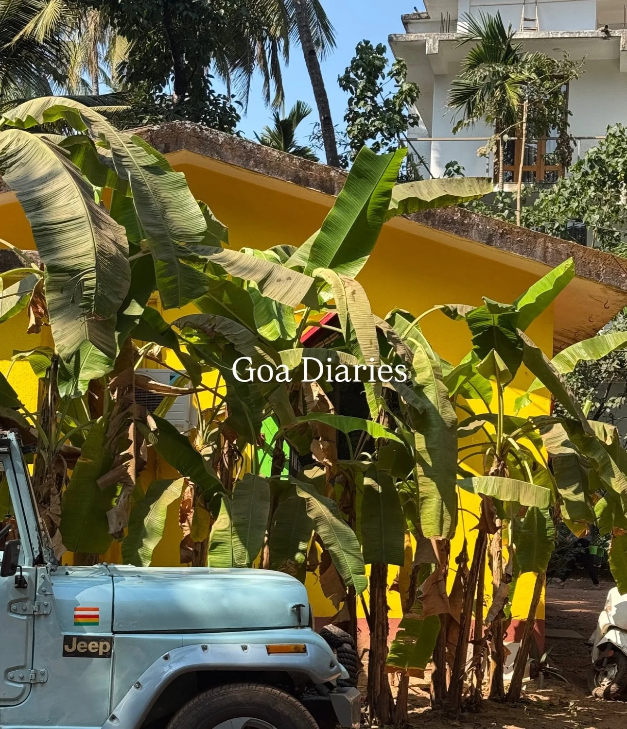 For the past few years I&rsquo;ve been lucky enough to go on an extended trip in late Jan / Feb. It means that I can escape the cold and come back to spring (the best season in my humble opinion). It also makes sense for me work wise, as summer is wh