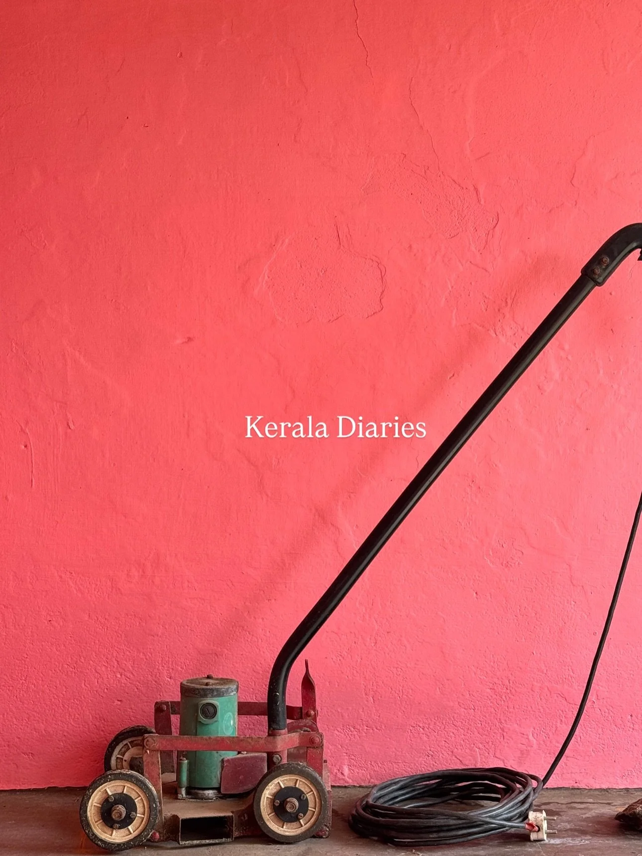 Part 2 of my India trip.. Kerala 🌞 
I have dreamt of visiting this sunshine state for so long and it lived up to all my hopes. It&rsquo;s filled with beautiful waterways, people, food and wildlife. My heart &amp; tummy are FULL. I couldn&rsquo;t rec
