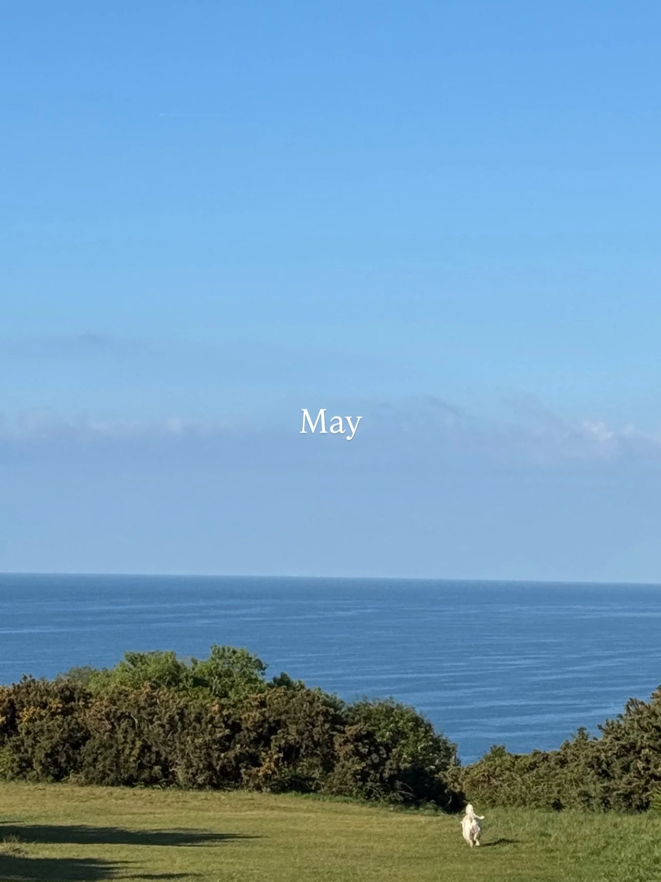 What a beautiful, balmy month it&rsquo;s been. I really love this time of year. 🌞🍃🌸🌊✨🧜&zwj;♀️🌼