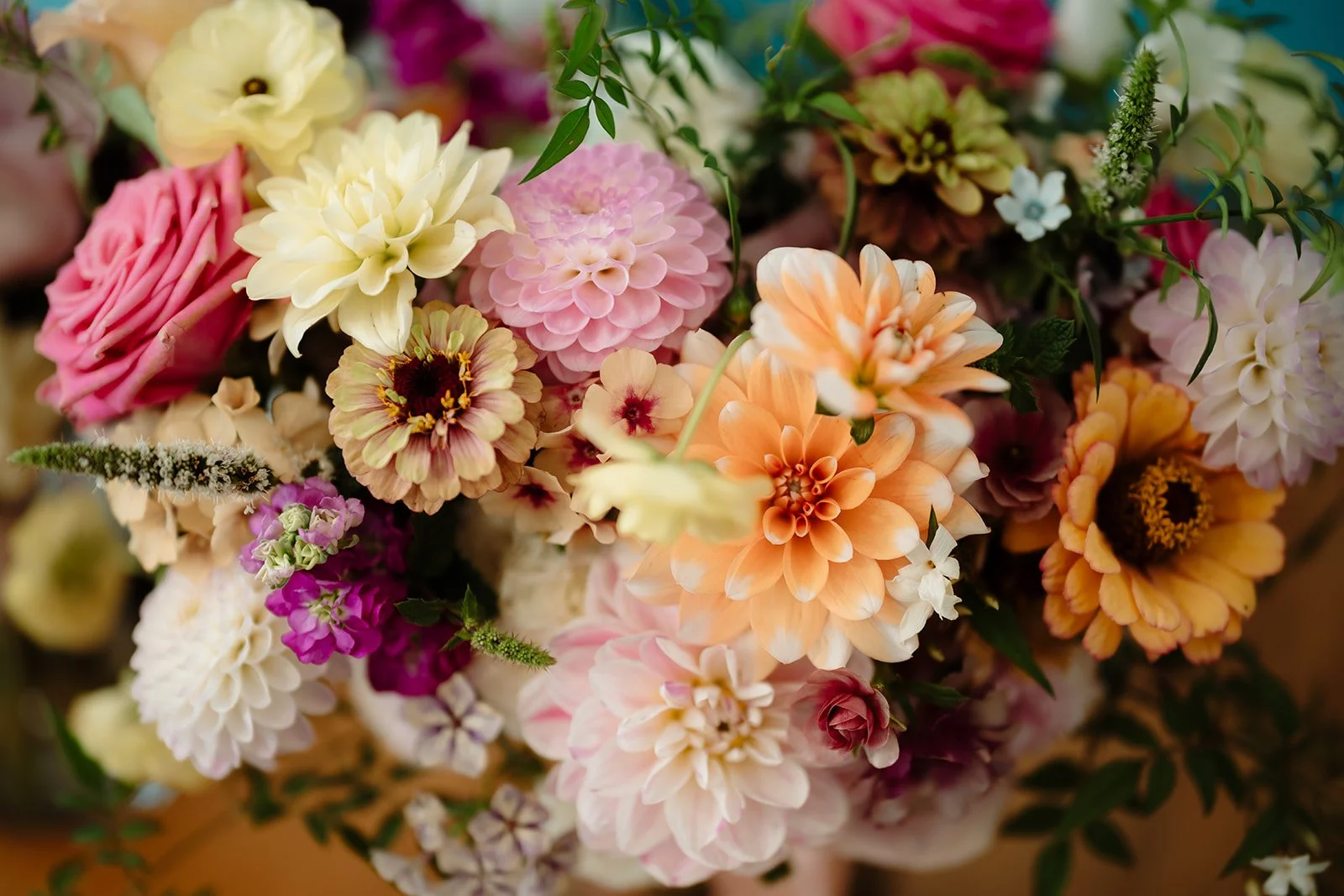 Charlotte + Ed-011-306994_websize.jpg