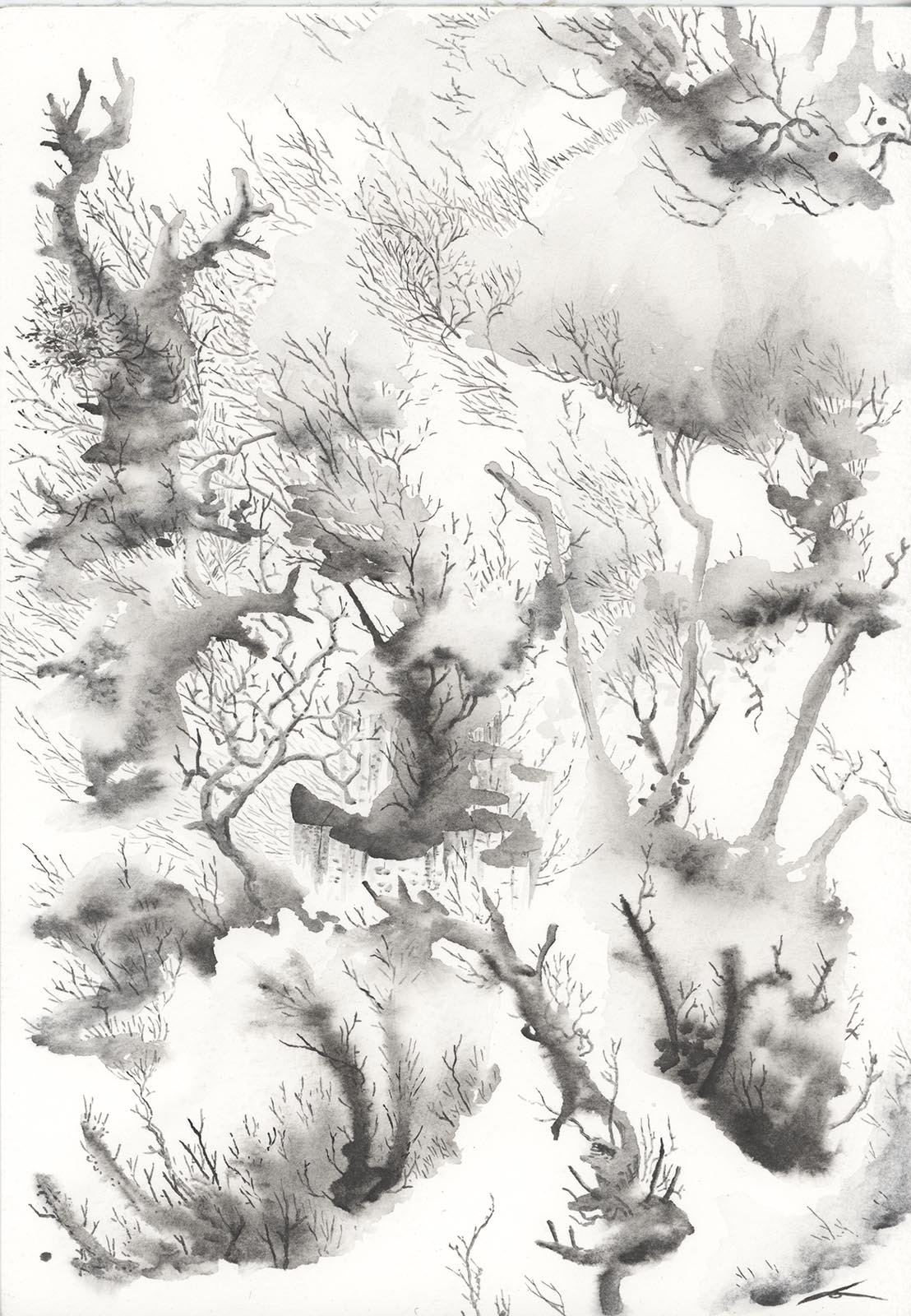 Forest Abstraction 3 - Graphite Watercolour 2018