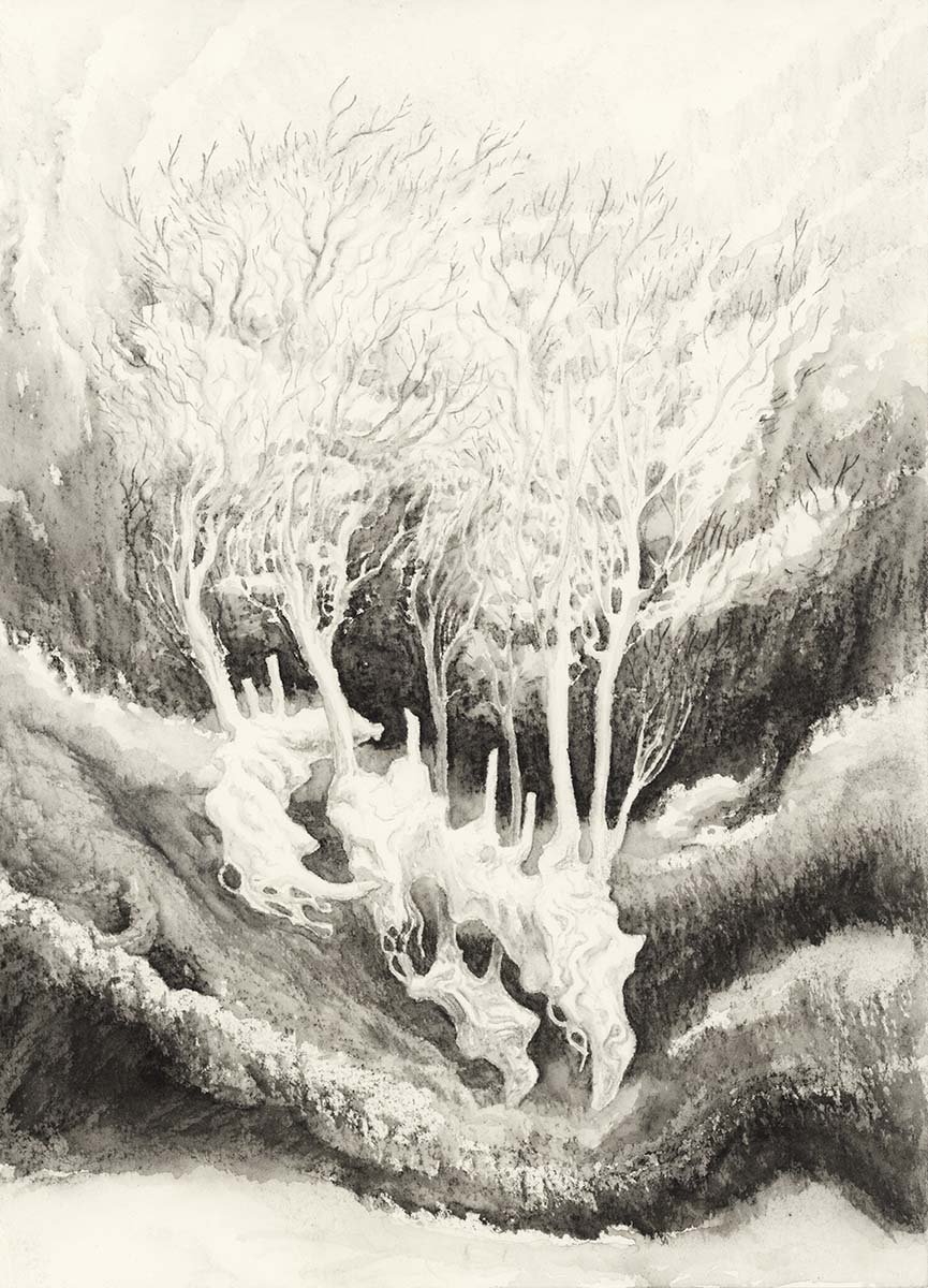 Ghost Forest S2, #22 - Graphite Watercolour 2018