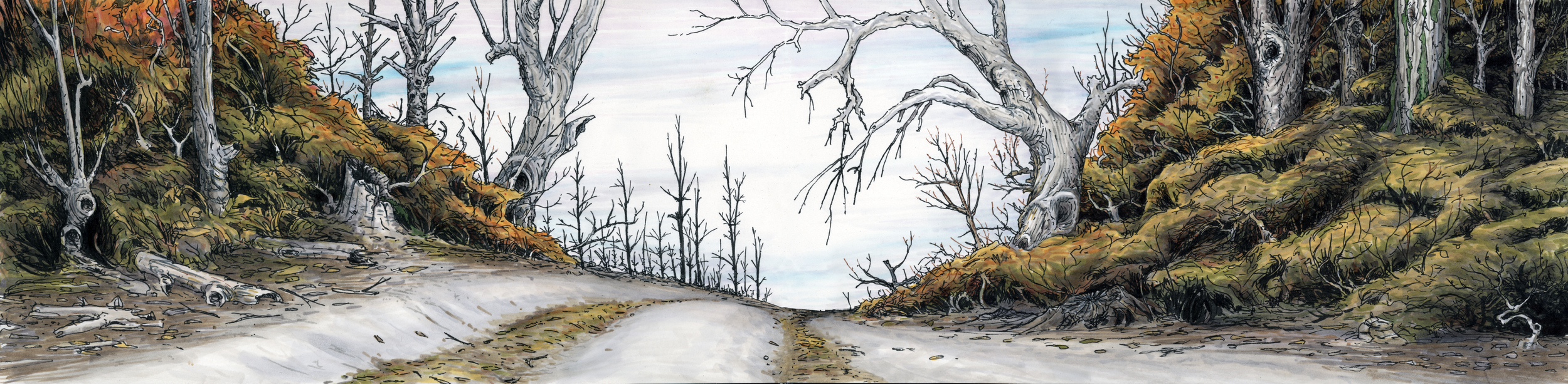 forest_road_med.png
