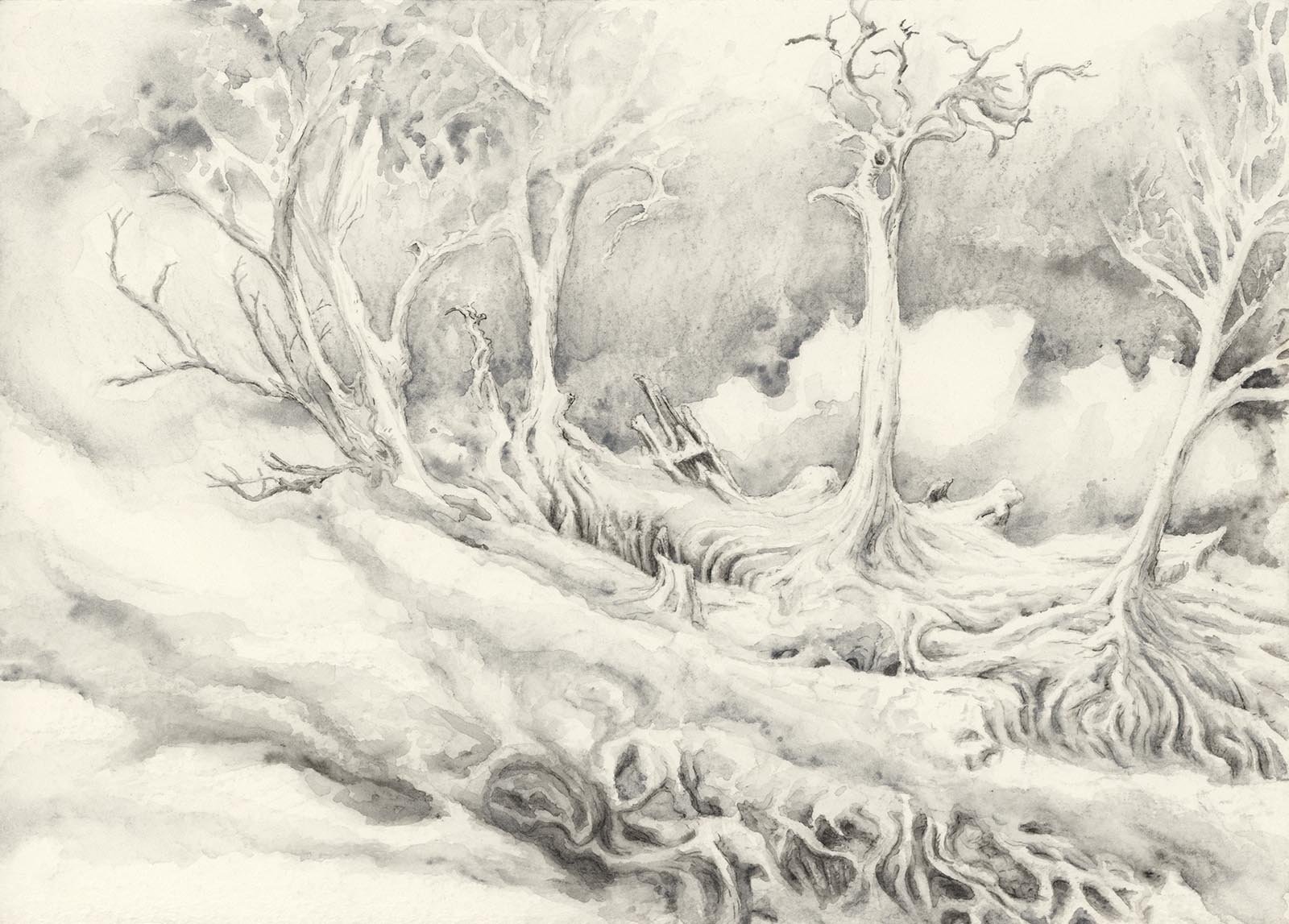Ghost Forest S2, #31 - Graphite Watercolour 2018
