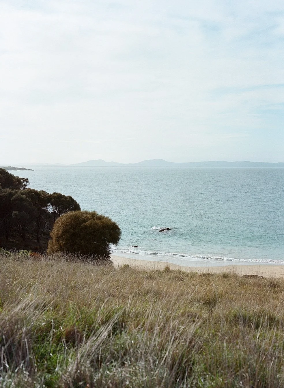 A coastal landscape with grassy dunes in the foreground, trees on the left, a sandy beach, and ocean water with small rocks, with distant mountains visible under a cloudy sky.