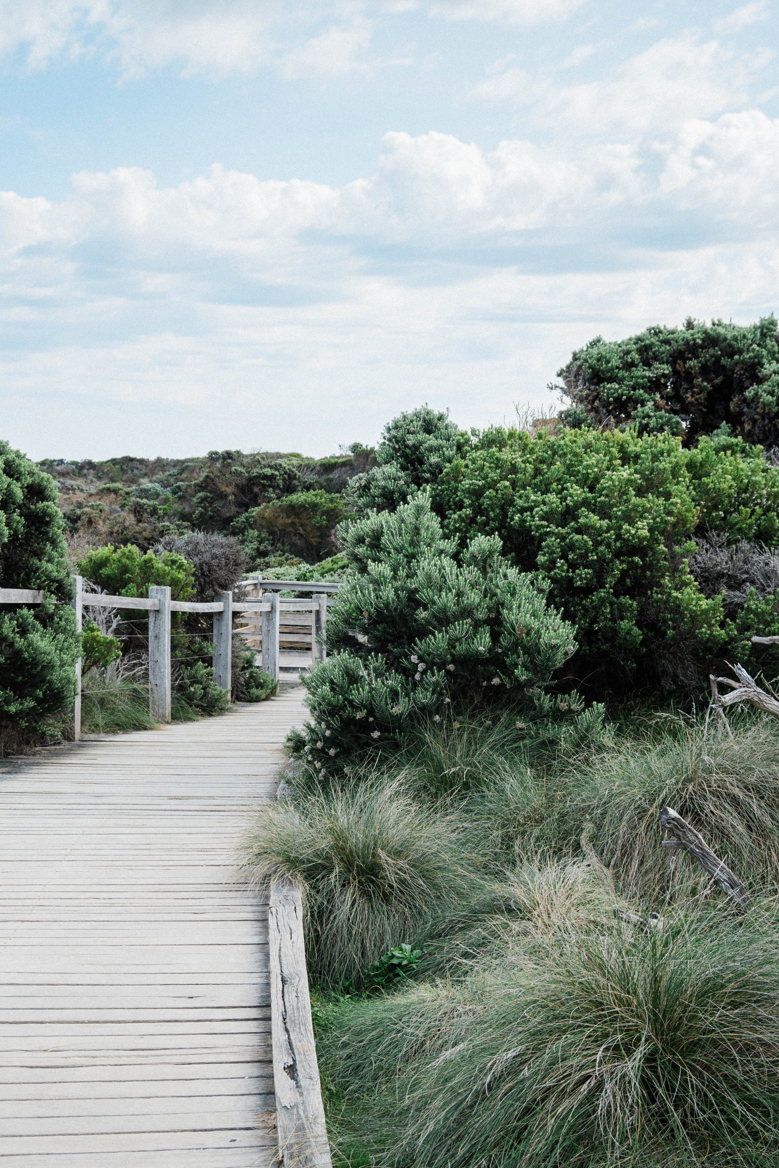 A wooden boardwalk surrounded by green bushes and grass under a partly cloudy sky.