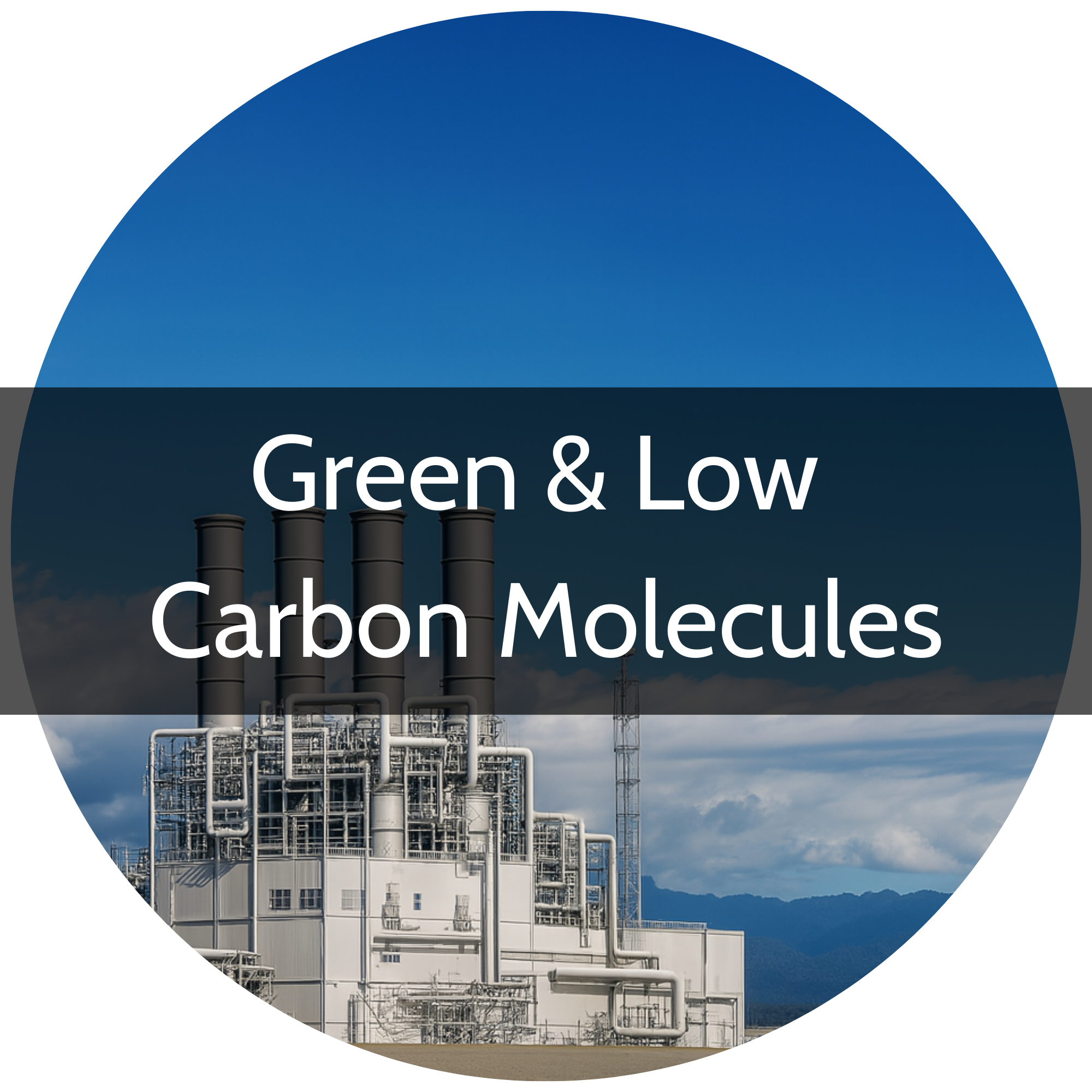 Green & Low Carbon Molecules