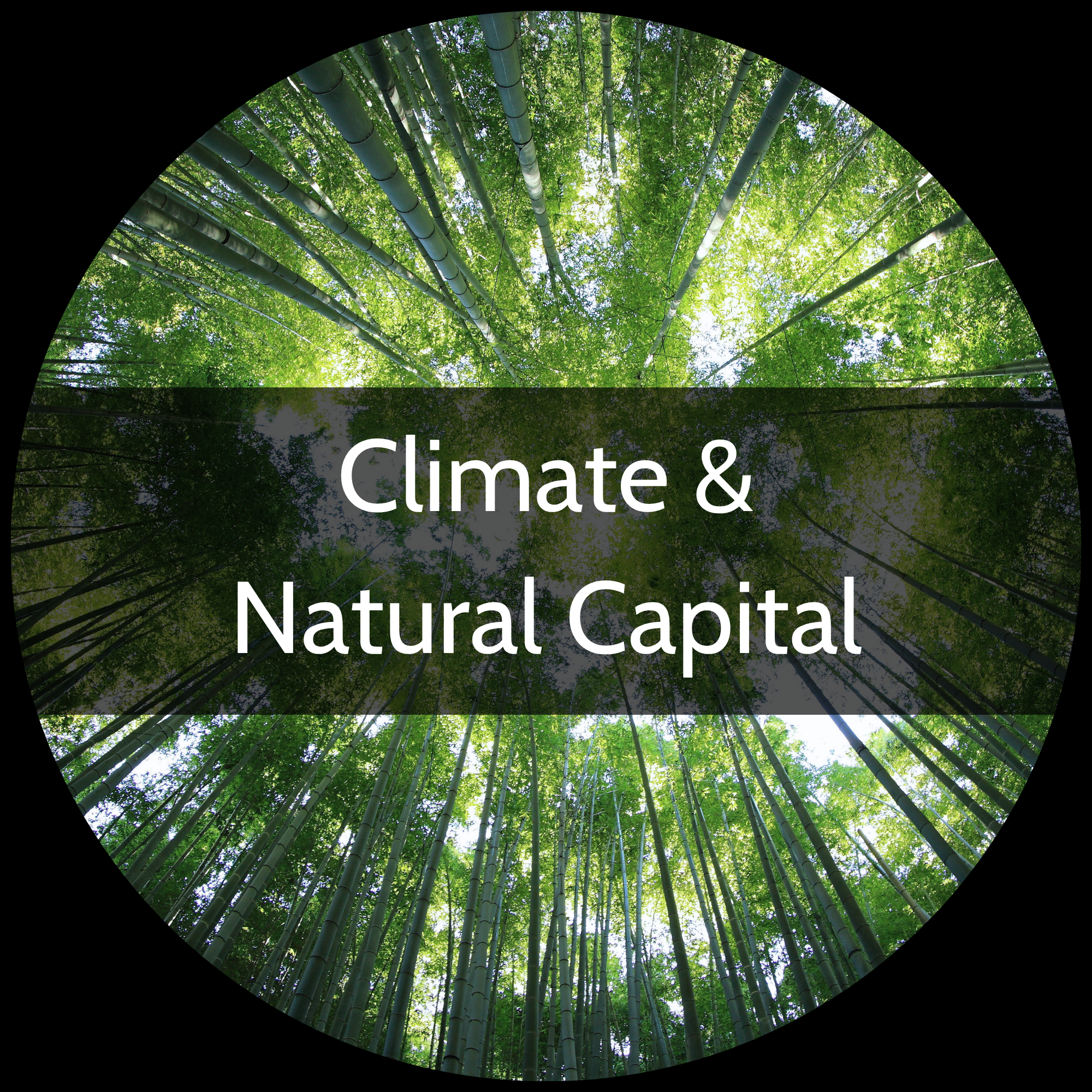 Climate & Natural Capital