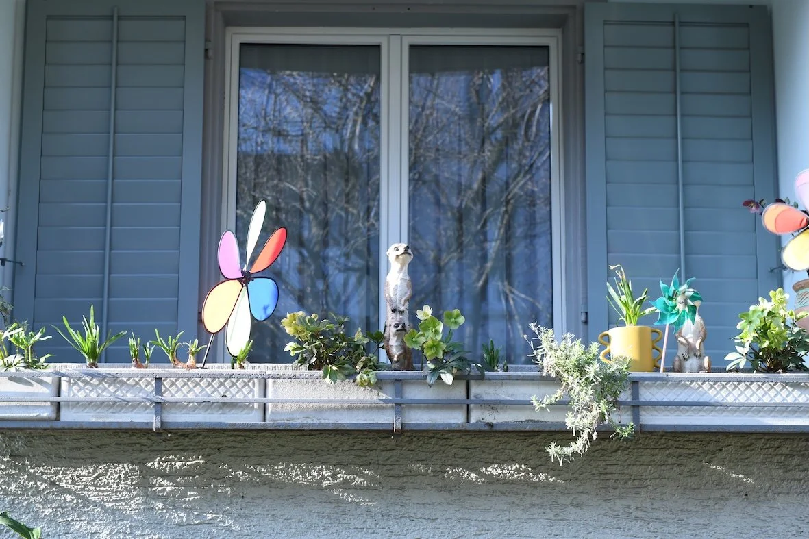 MRRN: "Dunge isch scho Früehlig." Fotografie: Daniel Frei