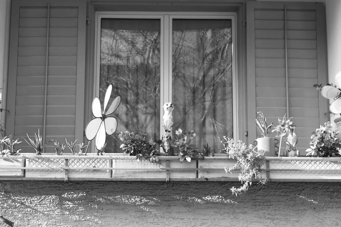 Dunge isch scho Früehlig