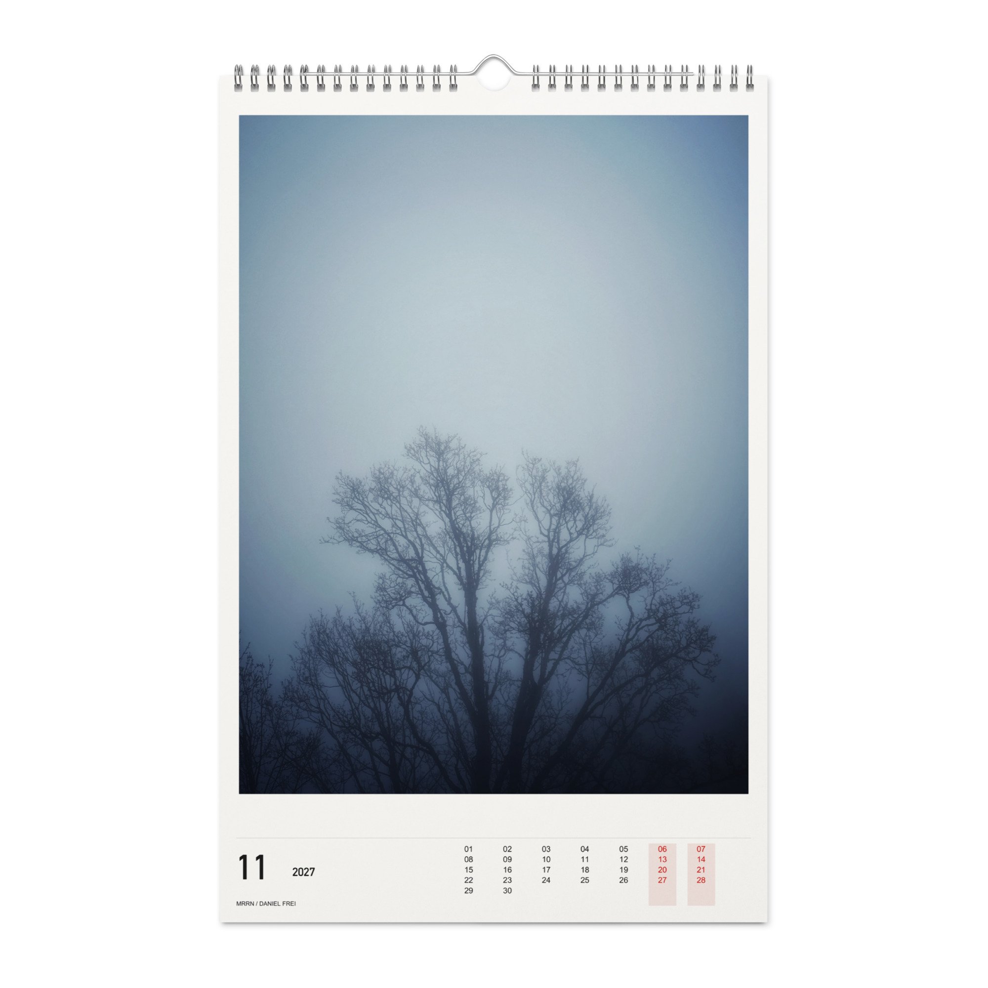 11/2027: Kahle Äste im Nebel. / Bare branches in mist. Daniel Frei, MRRN.