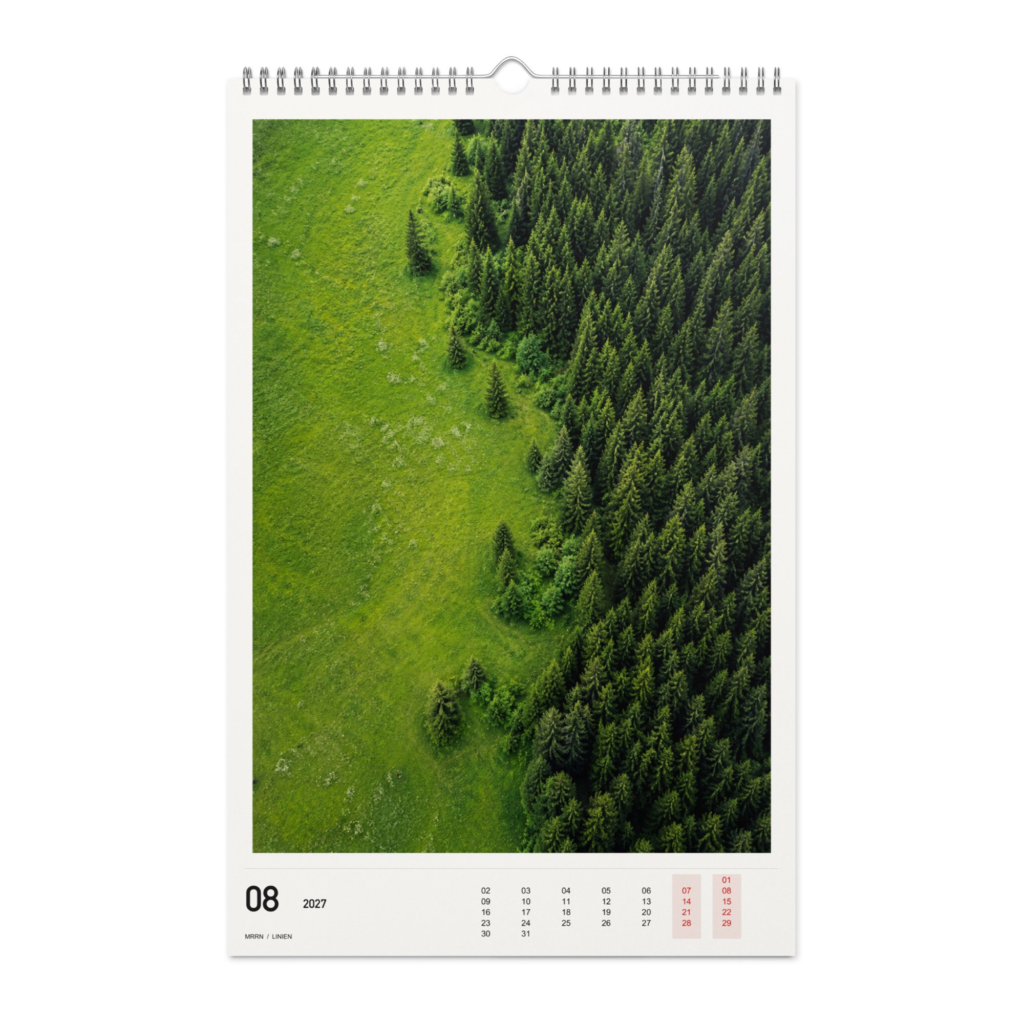 LINIEN Kalender 2027, Monat 08: Waldrand. / Month 08, numeric 2027 calendar.