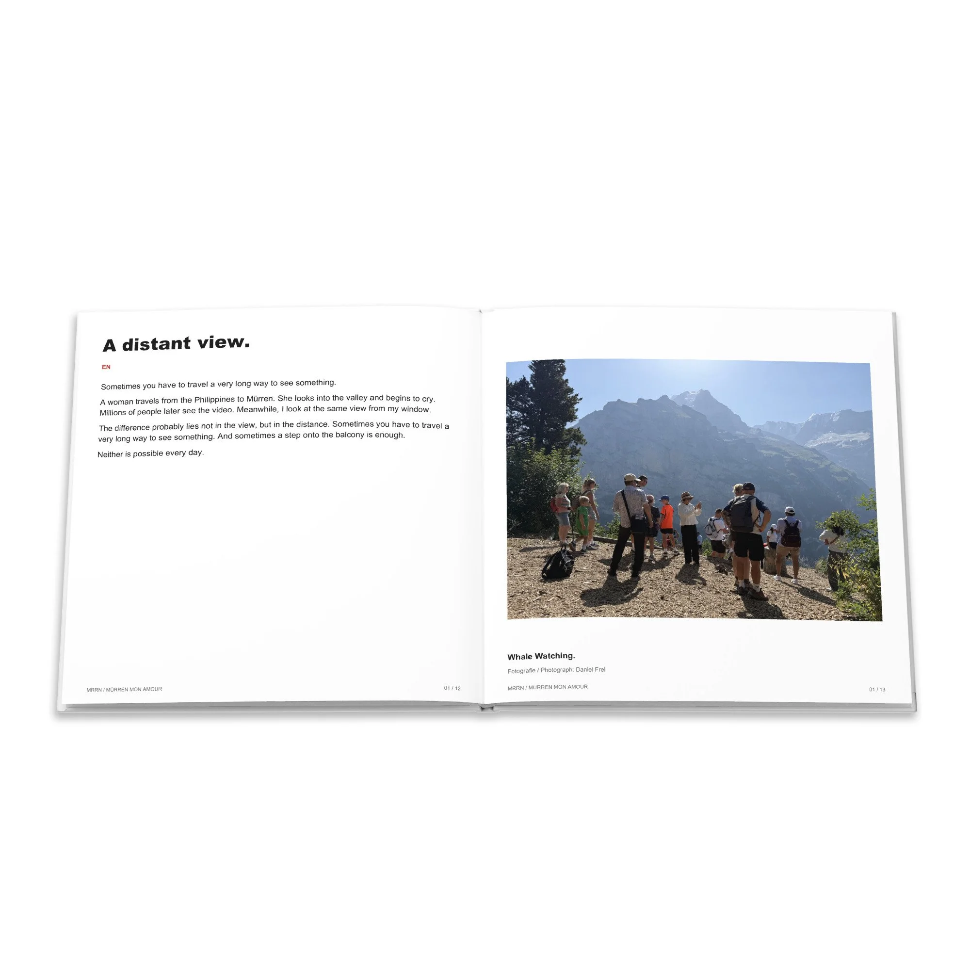Englischer Text «A distant view.» und Fotografie einer Gruppe mit Alphörnern in der Berglandschaft zum Beitrag «Whale Watching.».