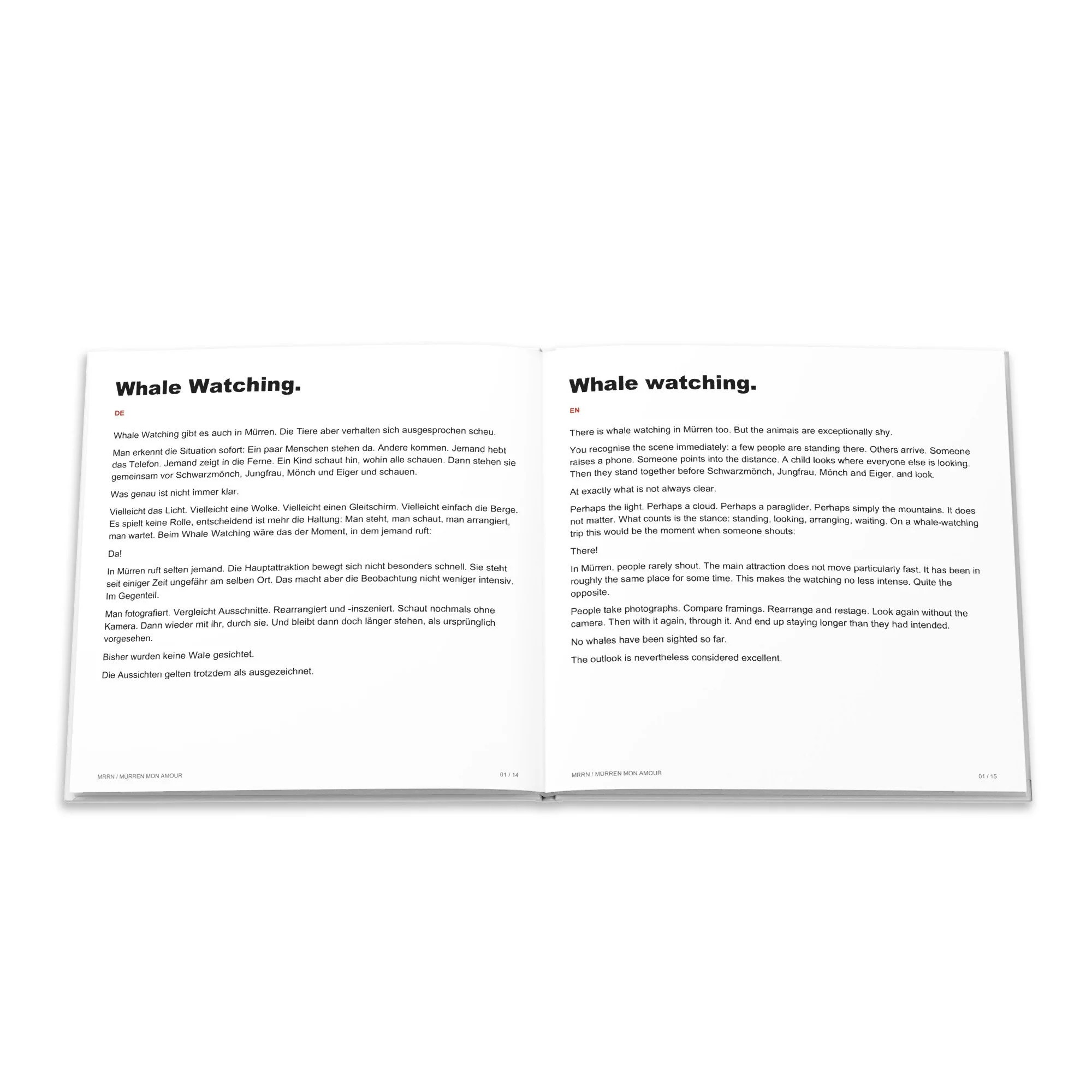 Der Beitrag «Whale Watching.» auf Deutsch und Englisch im Hardcover Ankommen.