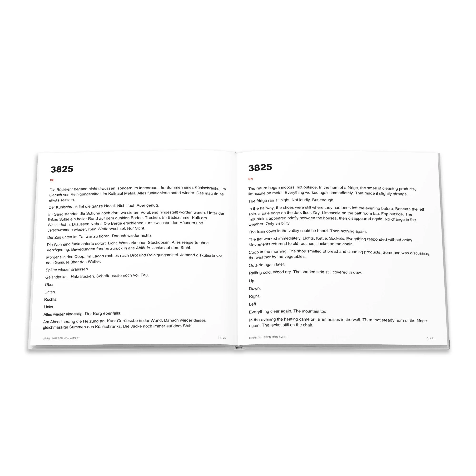Der Beitrag «3825» auf Deutsch und Englisch im Buch Ankommen.