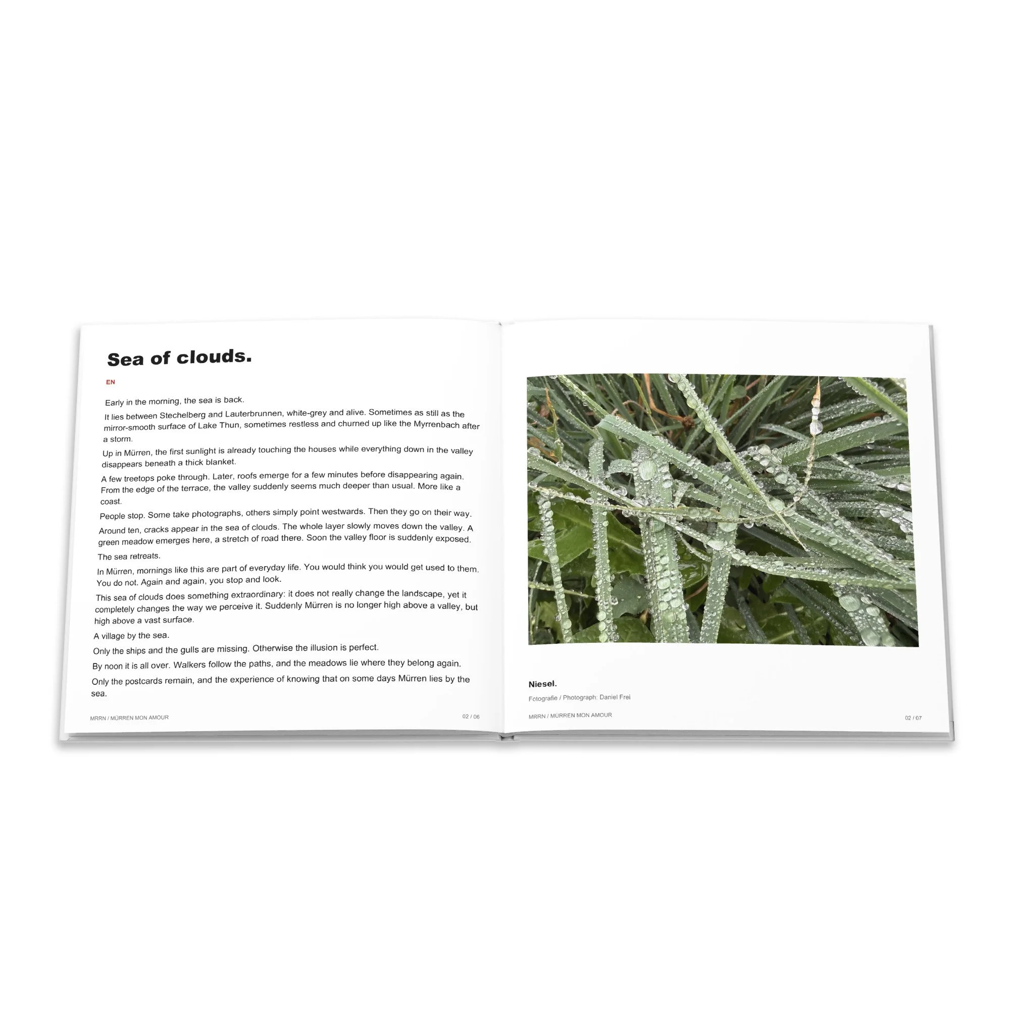 Englischer Text «Sea of clouds.» und Fotografie von Wassertropfen auf einer Pflanze zum Beitrag «Niesel.».