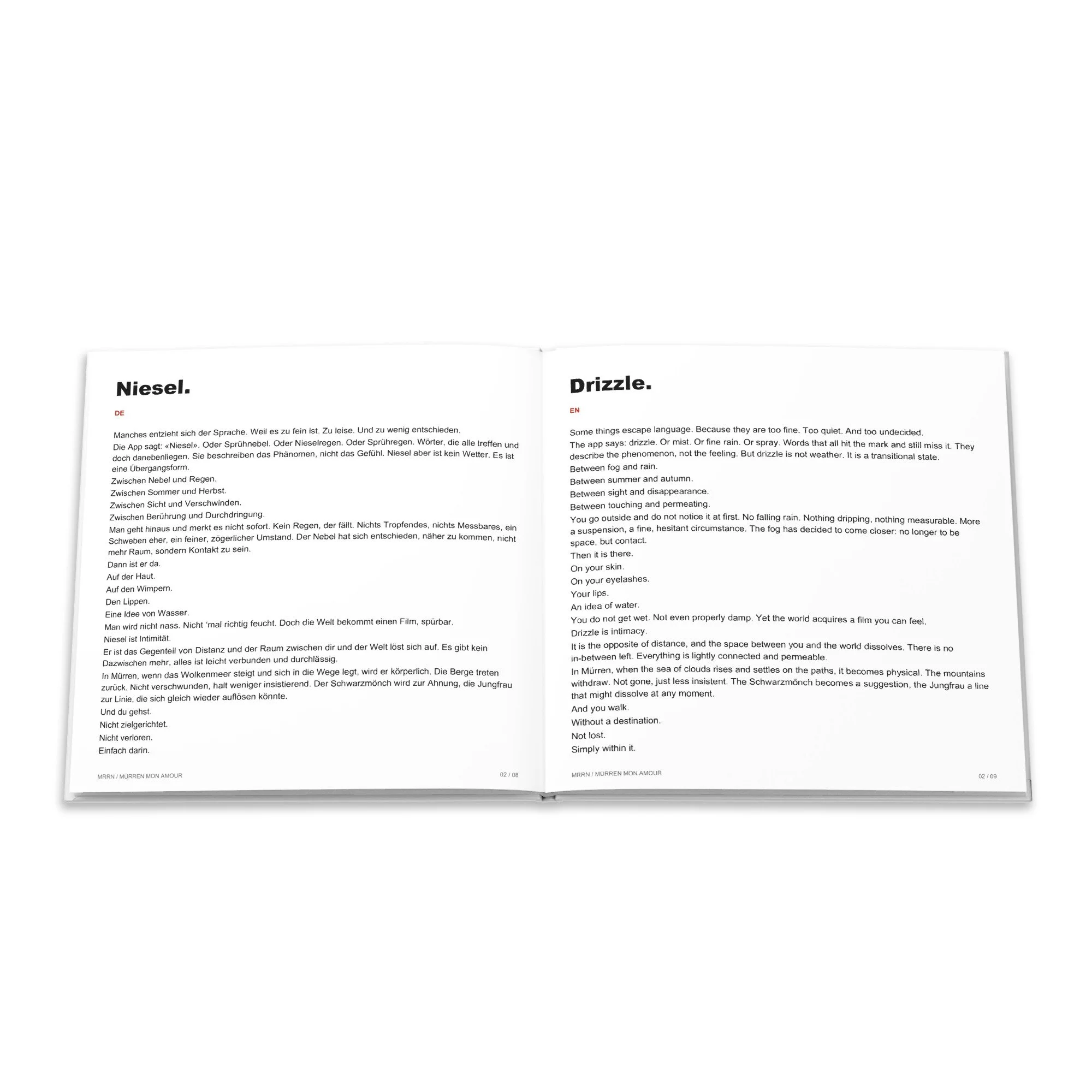Der Beitrag «Niesel.» / «Drizzle.» auf Deutsch und Englisch.