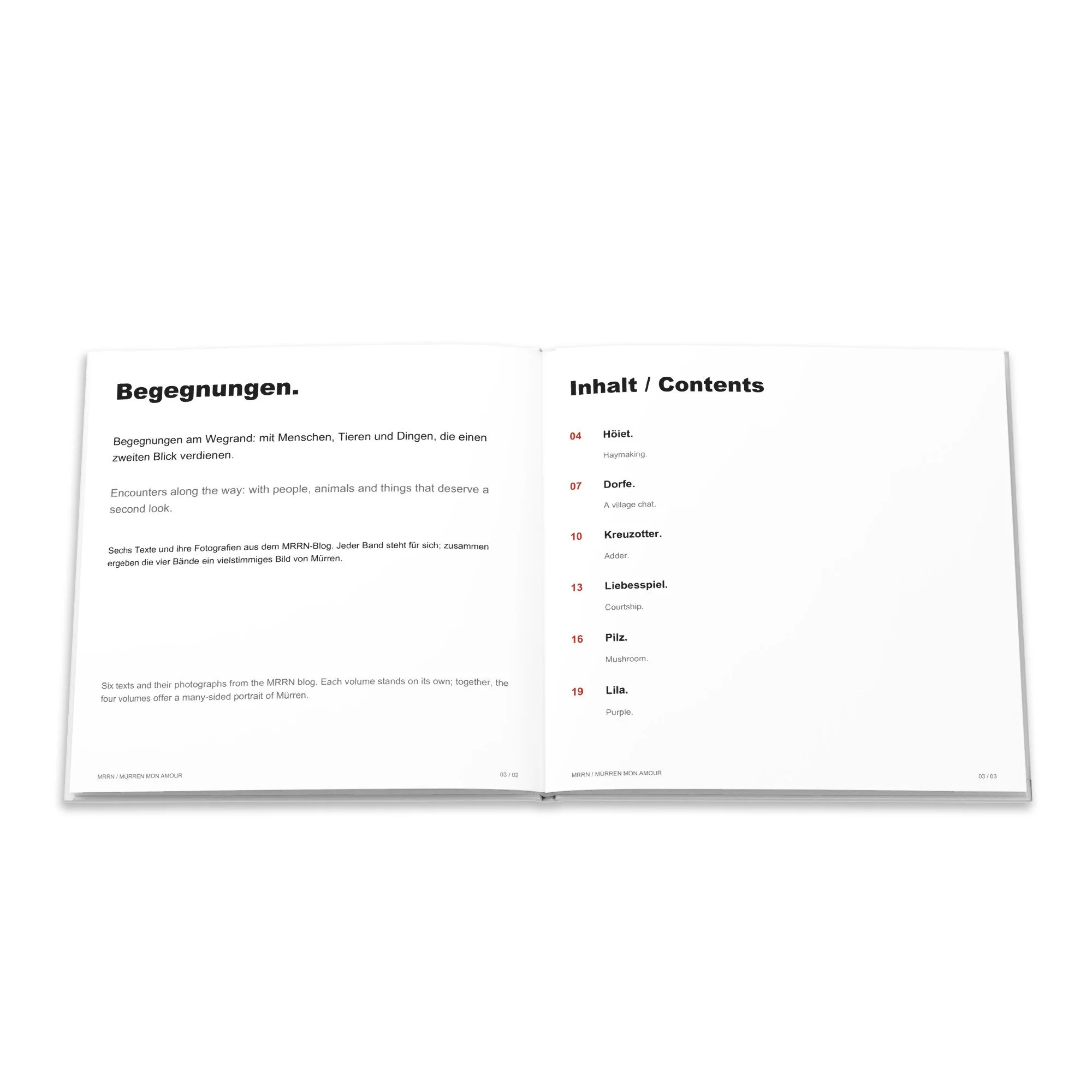 Einführung und Inhaltsverzeichnis des Bildbuchs Begegnungen auf Deutsch und Englisch.