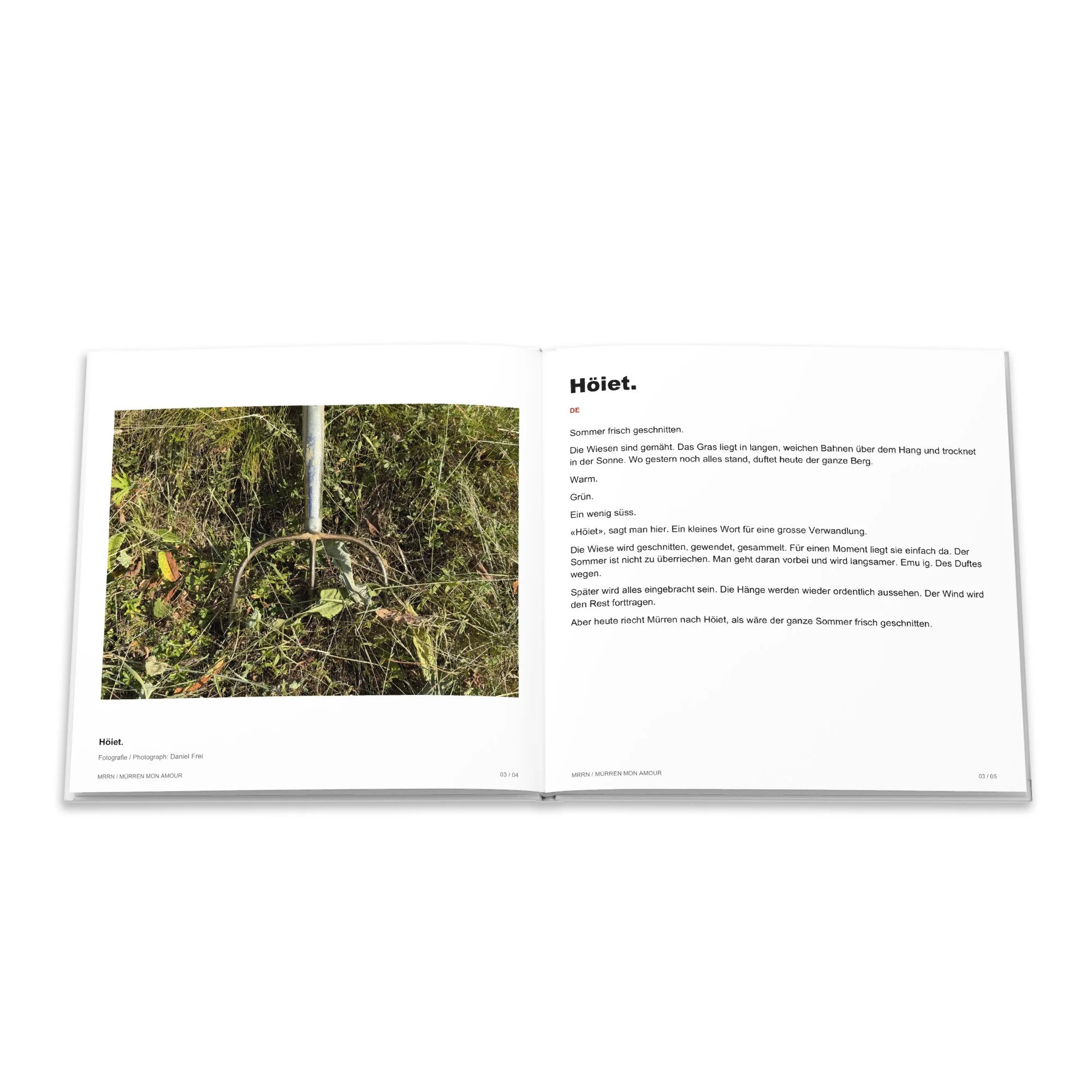 Fotografie und deutscher Text Höiet: Heugabel im Gras.