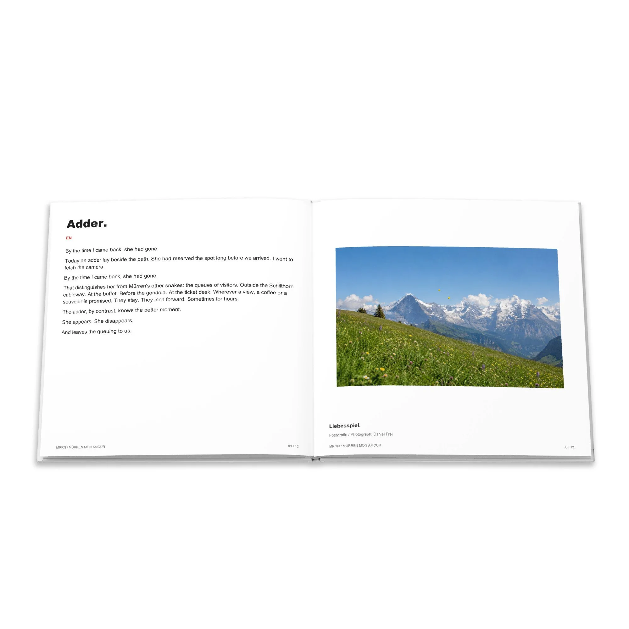 Englischer Text Kreuzotter und Berglandschaft zum Beitrag Liebesspiel.
