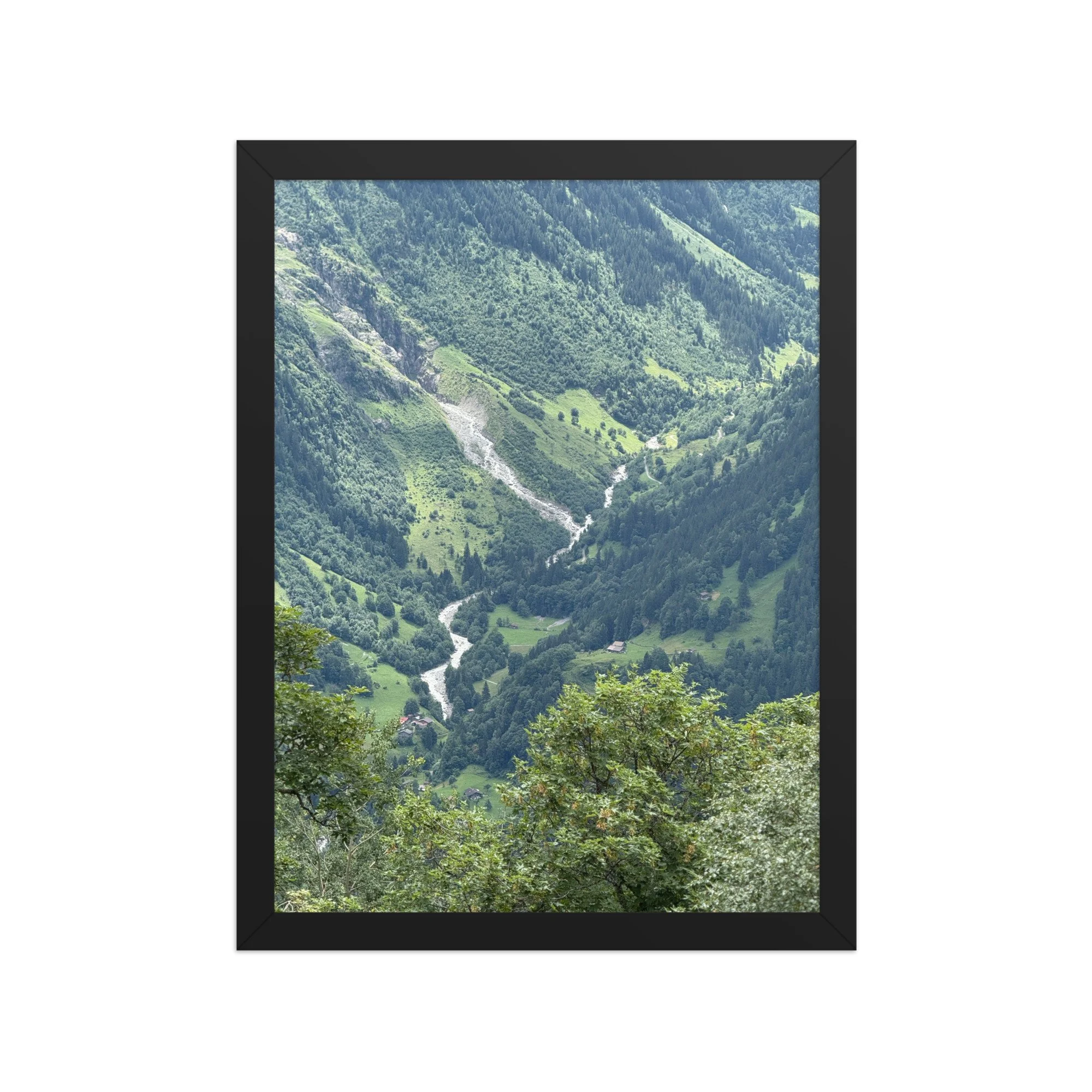 Wasserlauf zwischen grünen Wiesen und bewaldeten Hängen, Fotografie von Daniel Frei im schwarzen Rahmen. A stream among green meadows and forested slopes, framed photograph.