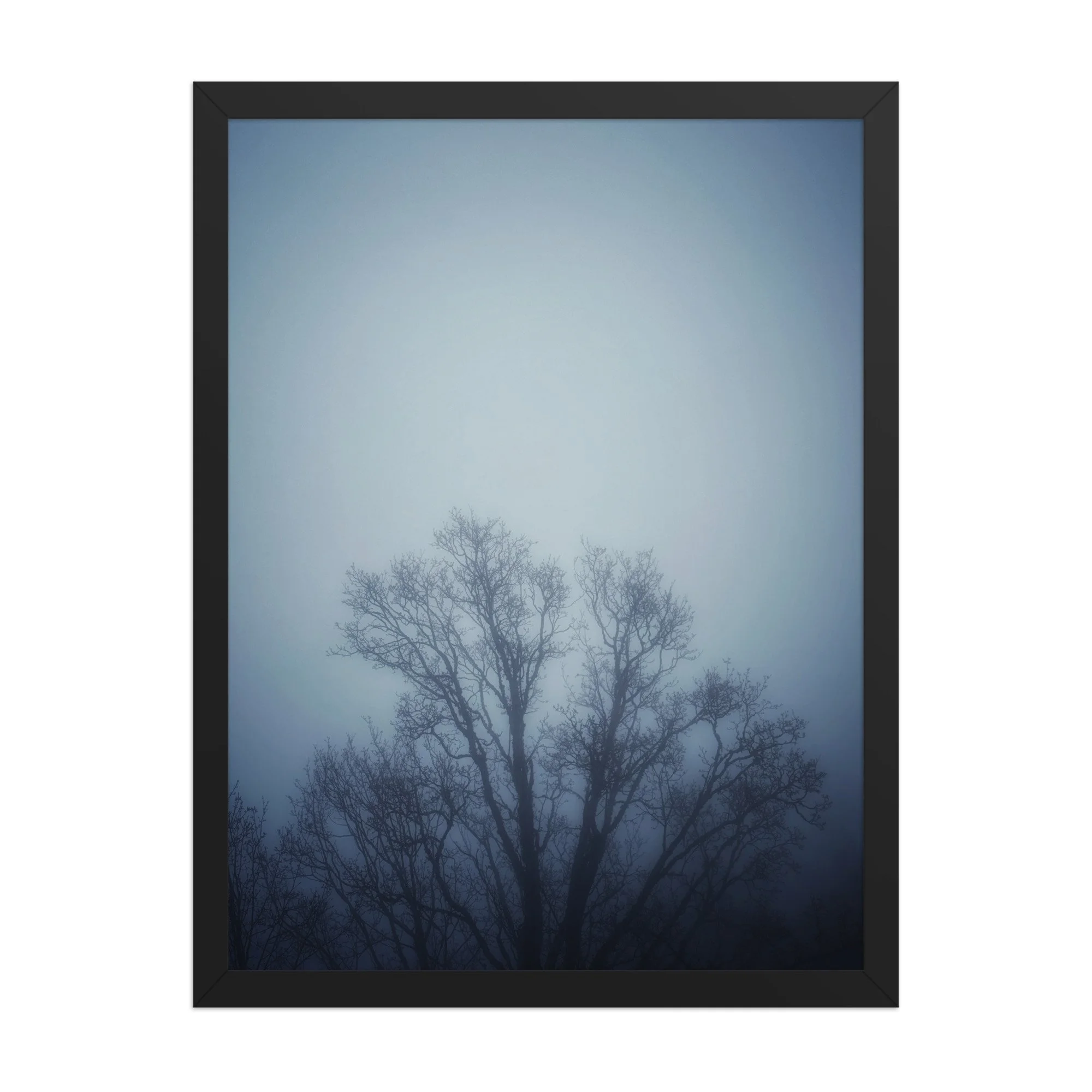 Kahle Zweige in blauem Dunst, schwarzer Rahmen. Bare branches in blue haze, black frame.
