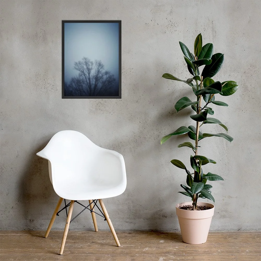 Baum im Dunst im schwarzen Rahmen mit Stuhl und Pflanze. Framed photograph; room mockup.