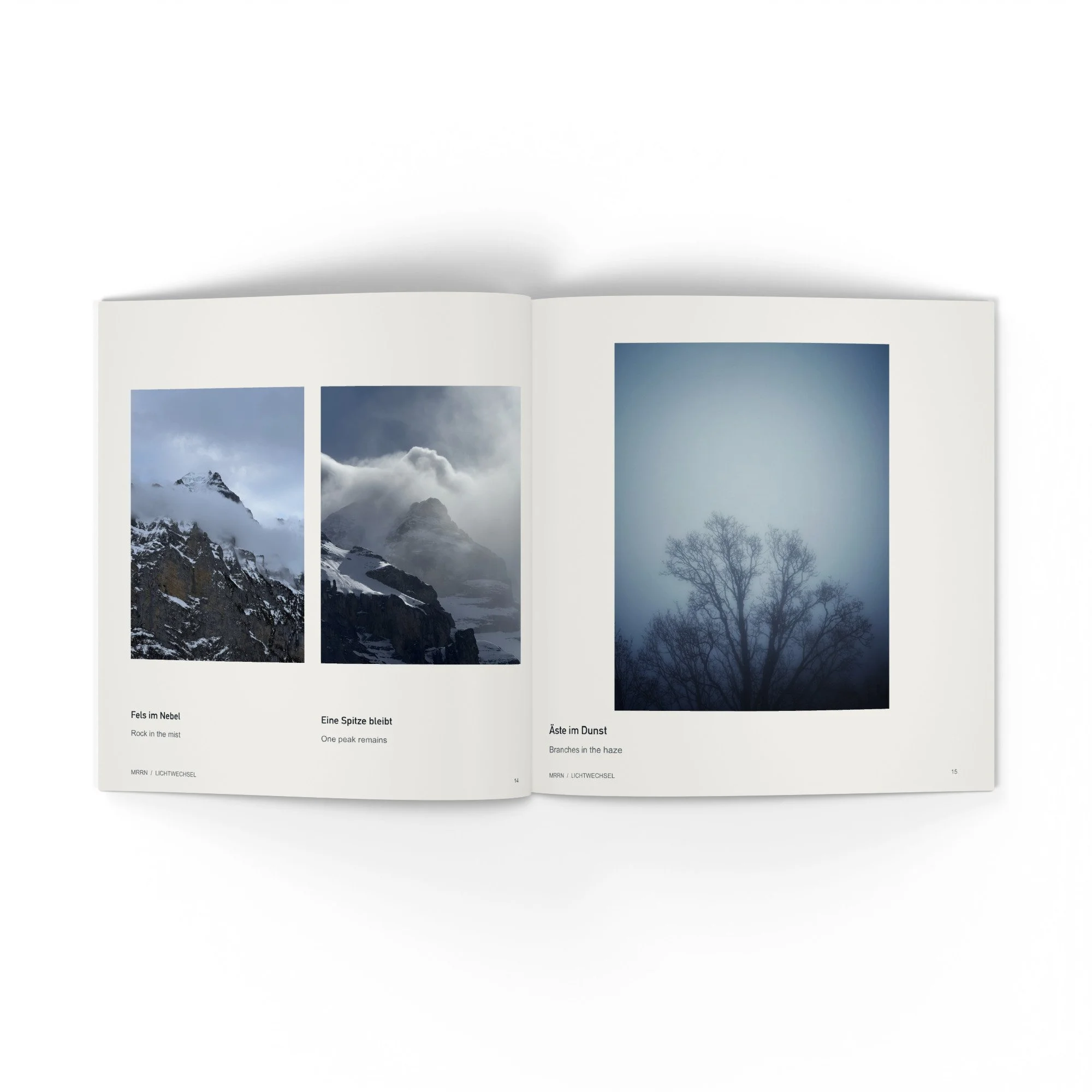 Fels im Nebel, Eine Spitze bleibt und Äste im Dunst. Rock in fog, a remaining peak and branches in haze.