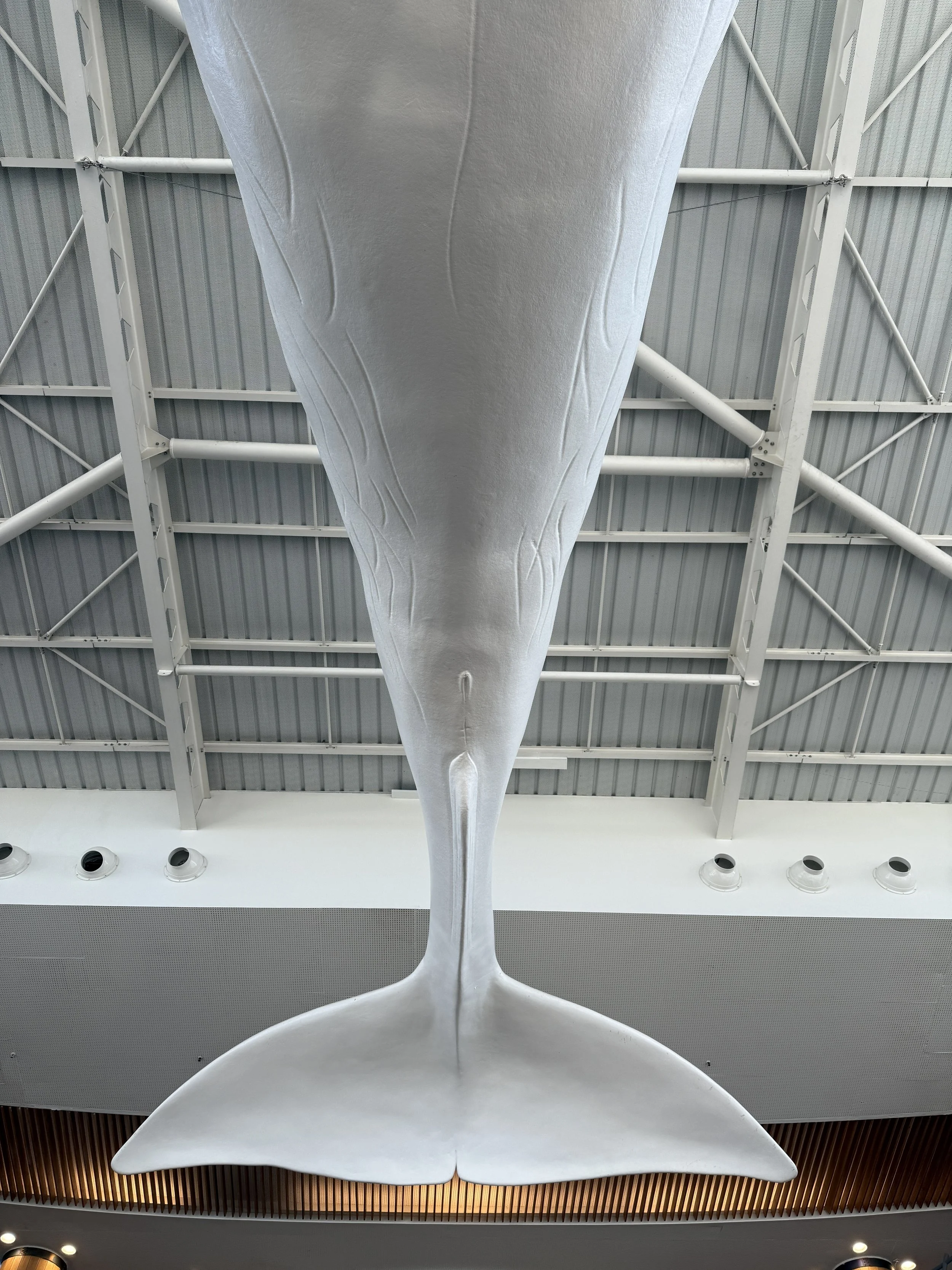 MRRN: "Inseln in der Zeit." Fotografie: Daniel Frei