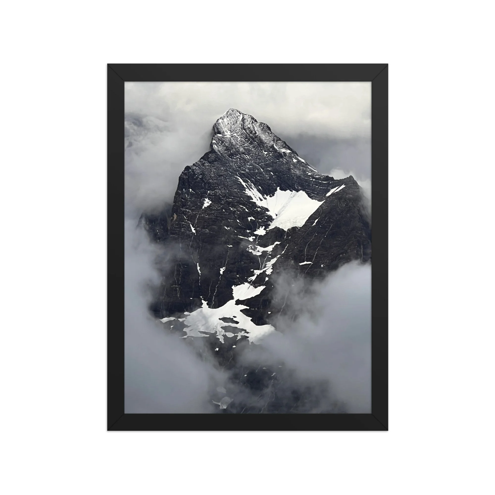 premium-luster-photo-paper-framed-poster-(in)-black-12x16-front-6ae2106f0950f.jpg