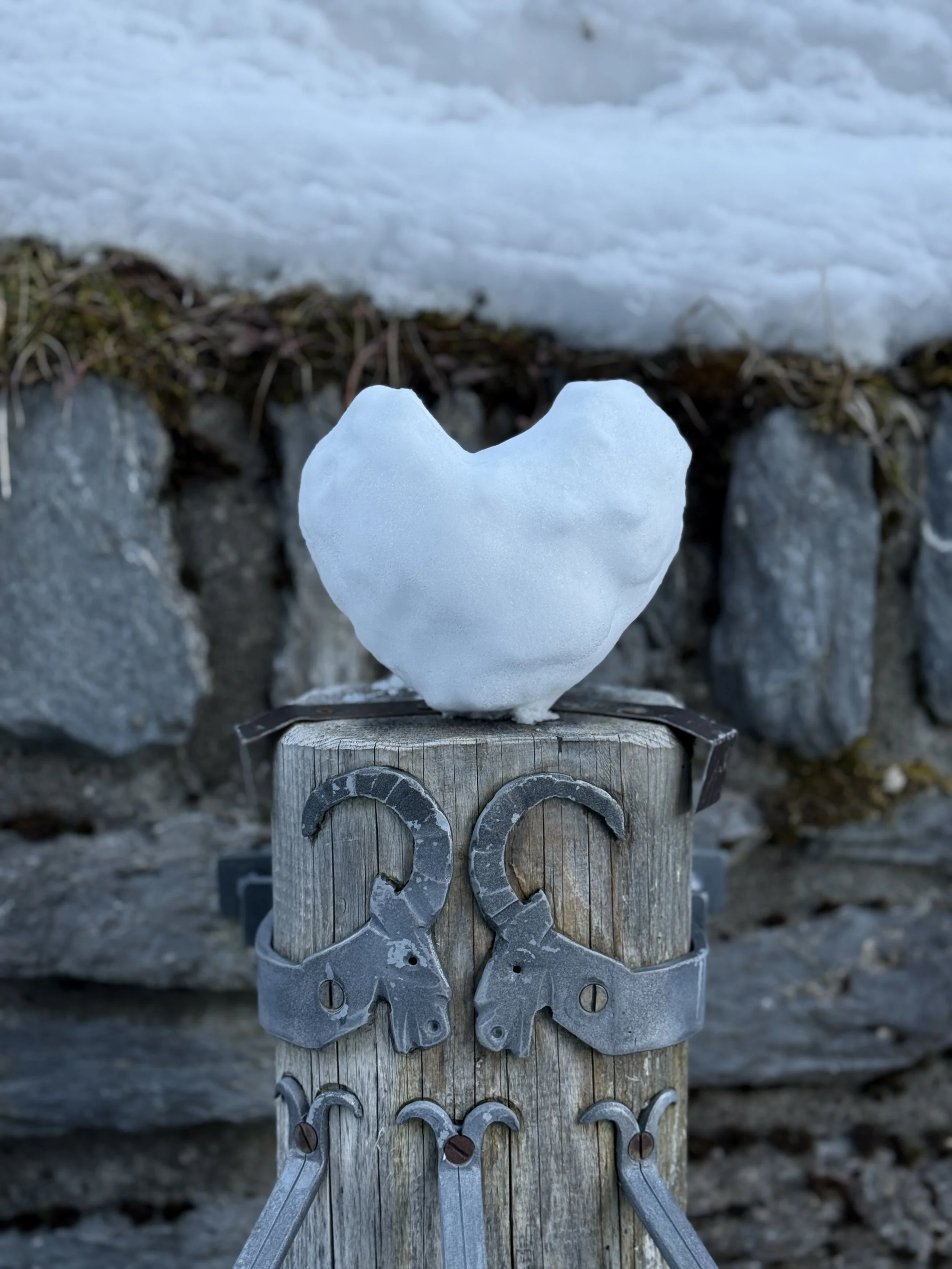 MRRN "From Mürren with Love" Fotografie: Daniel Frei