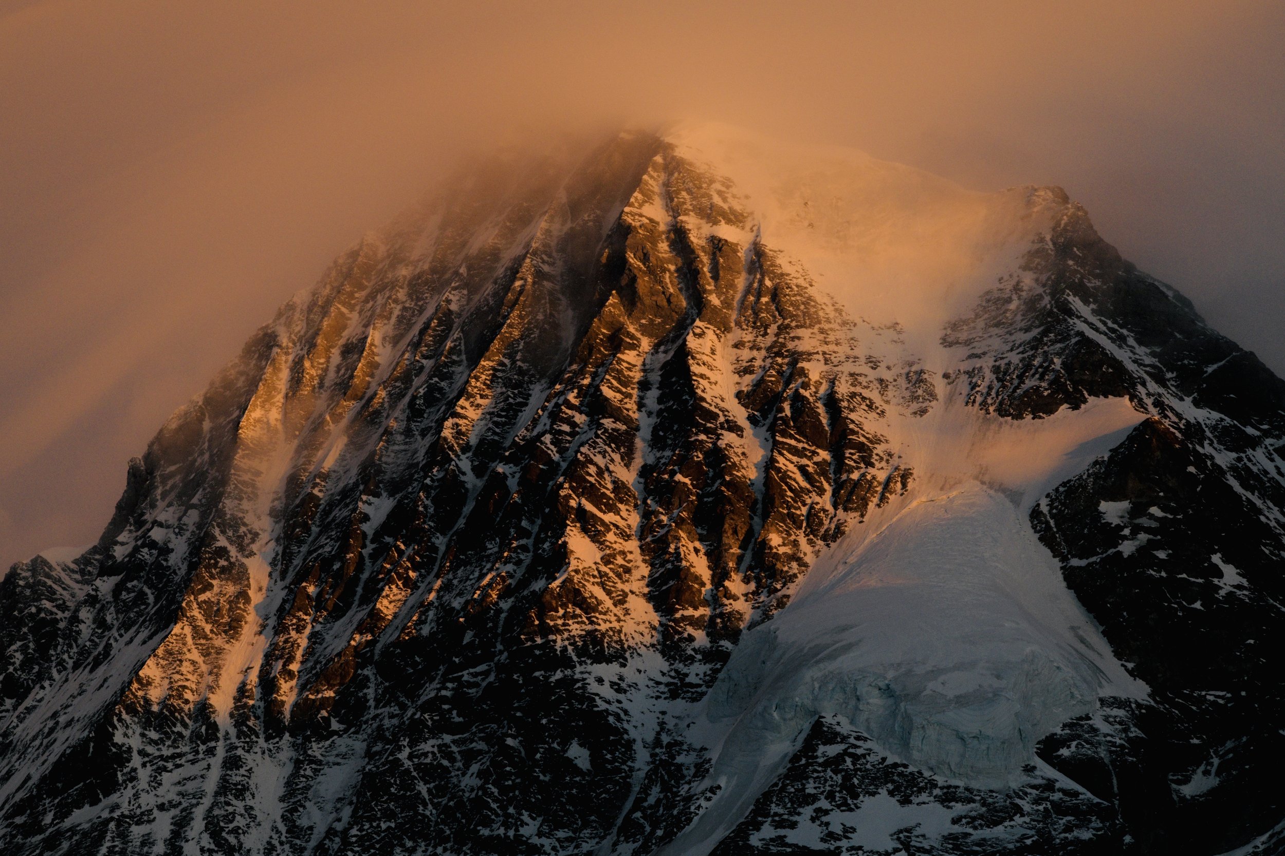 Fotografie: Markus Pfefferli