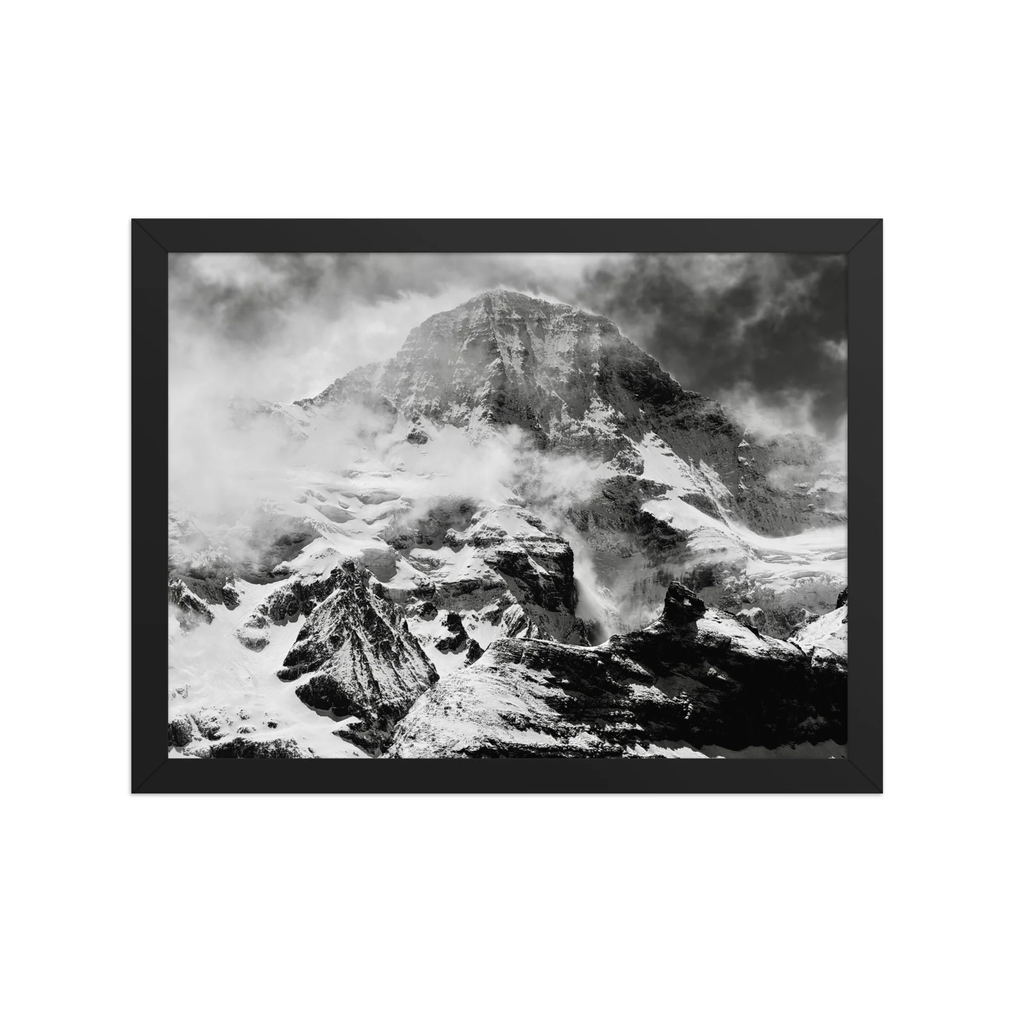 premium-luster-photo-paper-framed-poster-(in)-black-12x16-front-6ae214b571c2b.jpg
