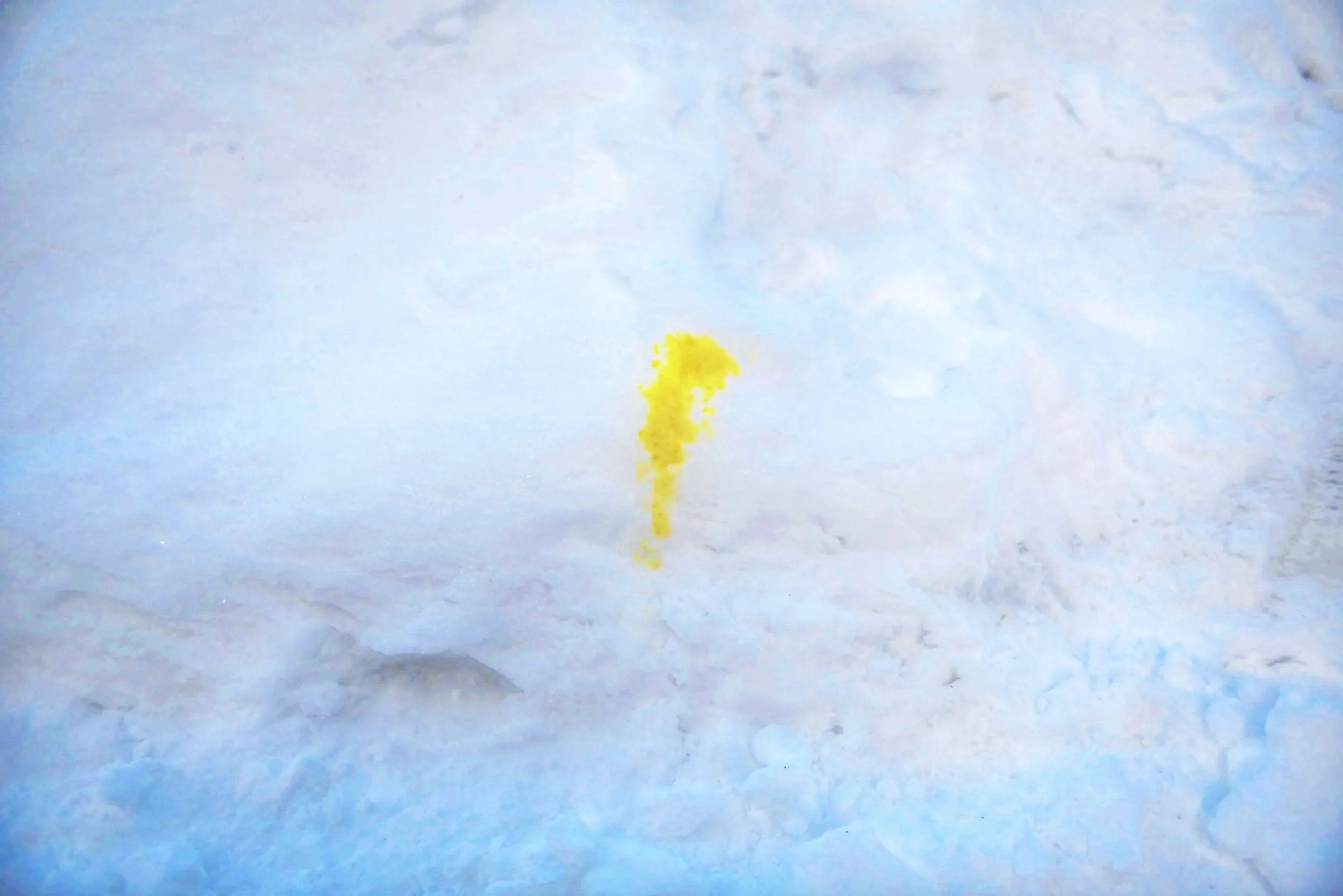 MRRN: Don't eat the yellow snow. Fotografie: Daniel Frei