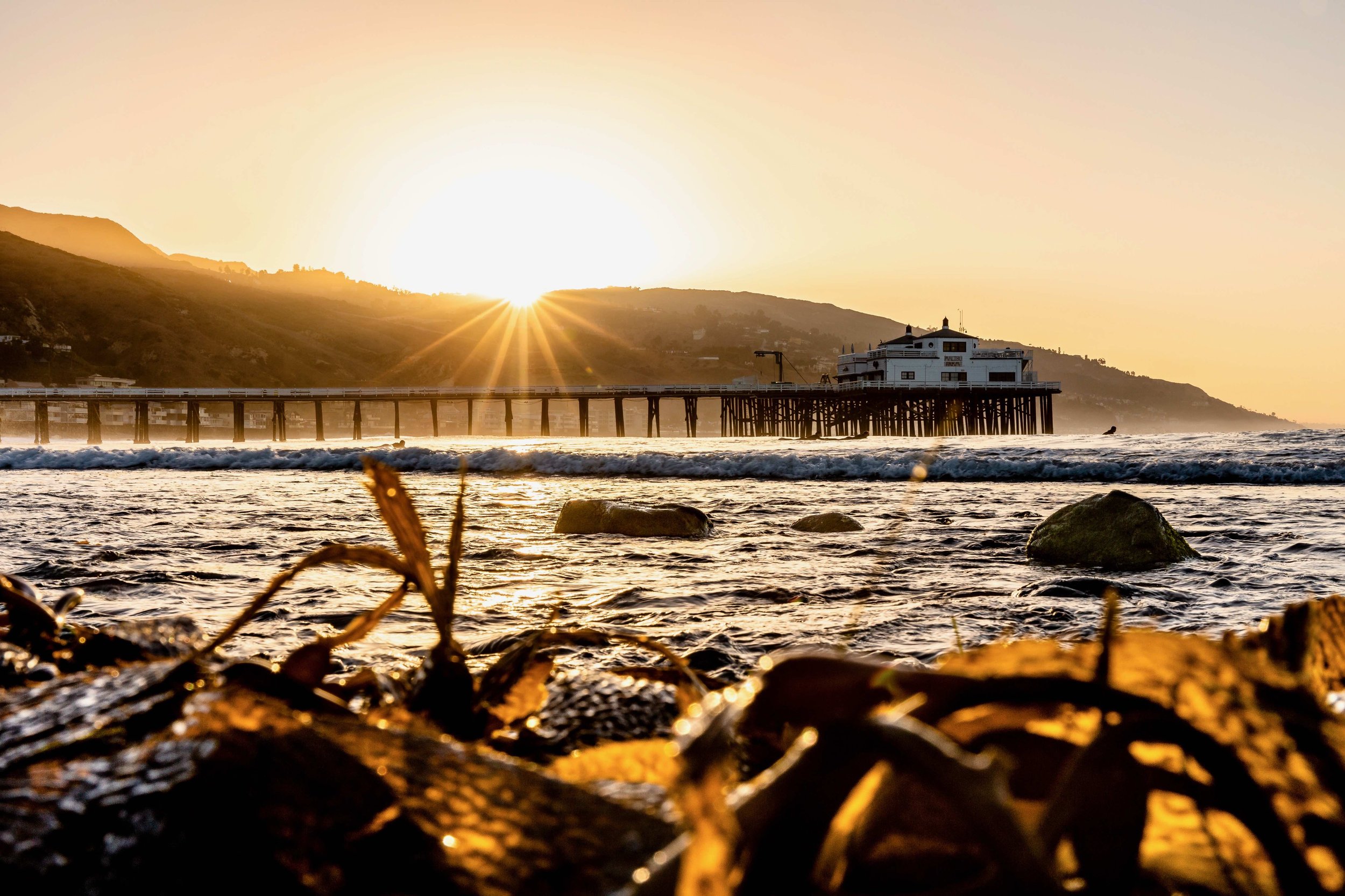 Golden Pier Rays