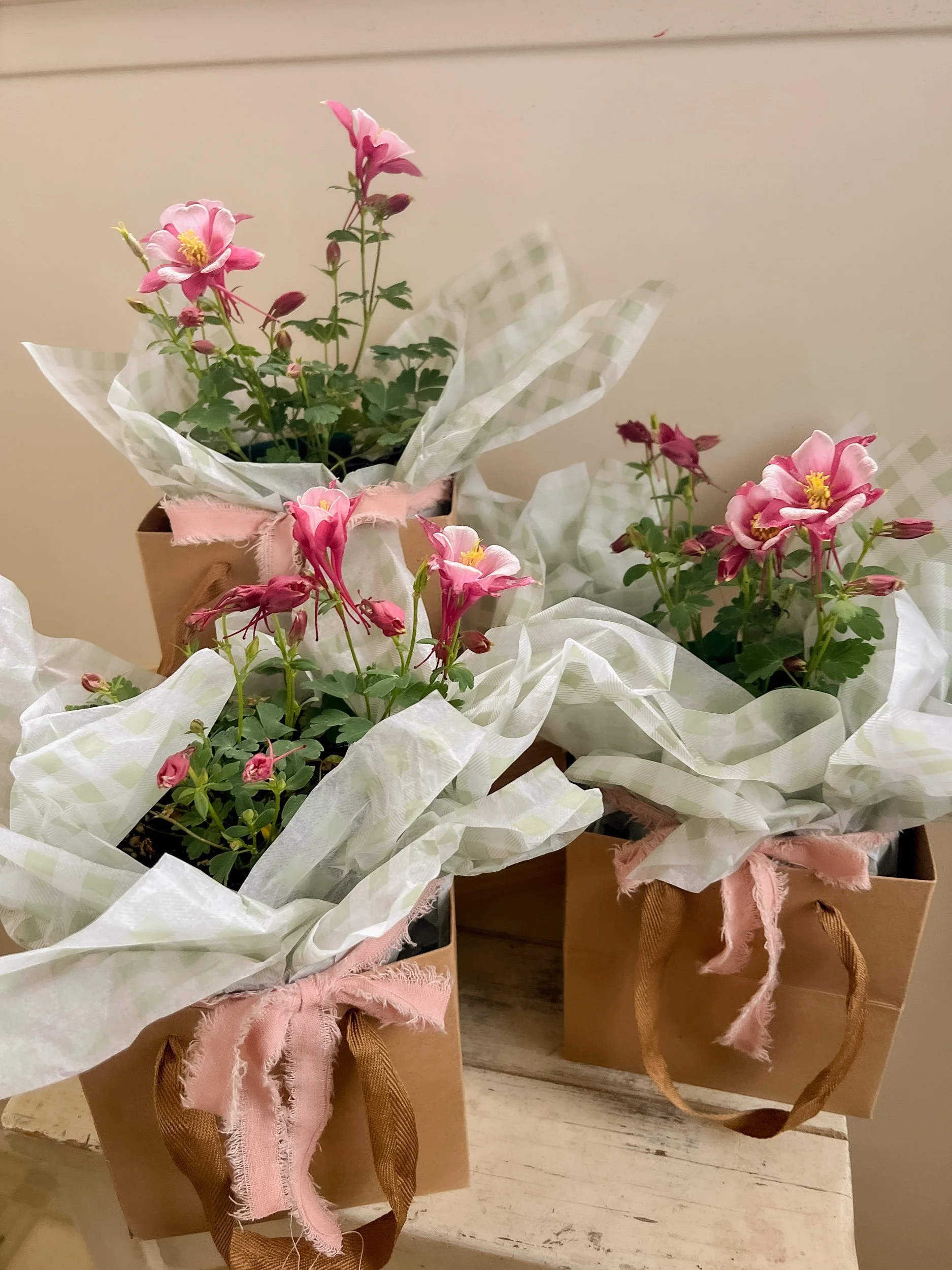 The Garden Keepsake