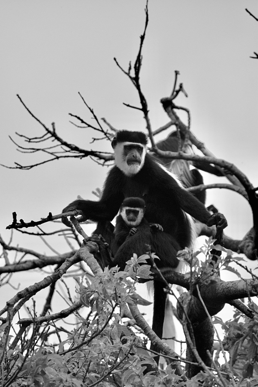 DSC_1637.jpeg