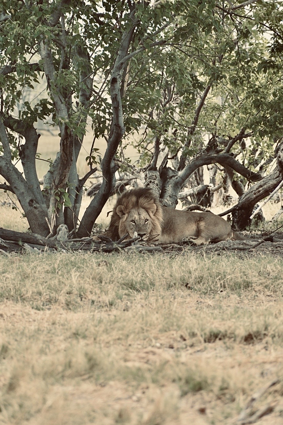 image00010.jpeg