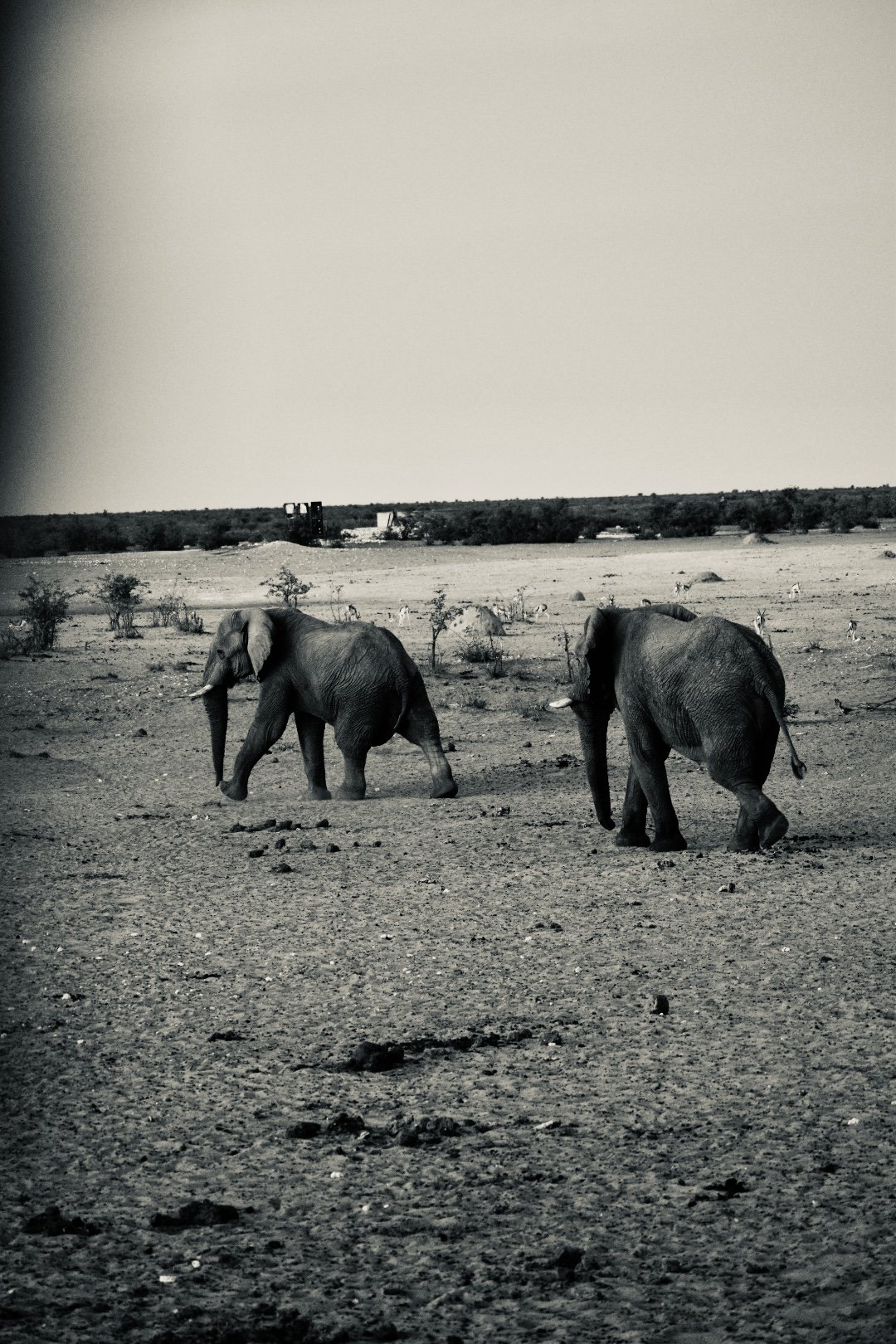 image00019.jpeg