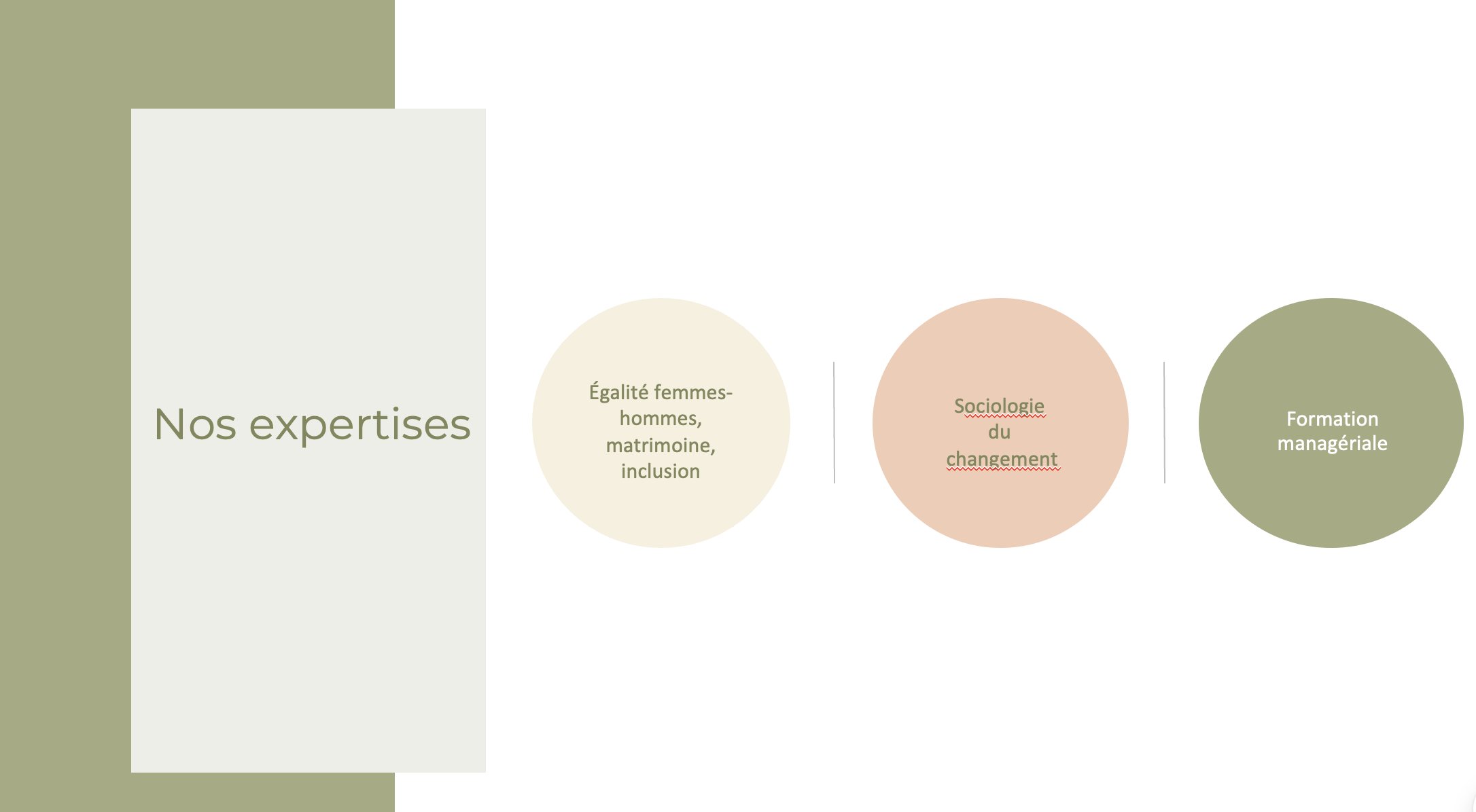 Un graphique présentant les domaines d'expertise avec des cercles de différentes tailles et couleurs, incluant : égalité femmes-hommes, mariage, inclusion, sociologie du changement, formation managériale.