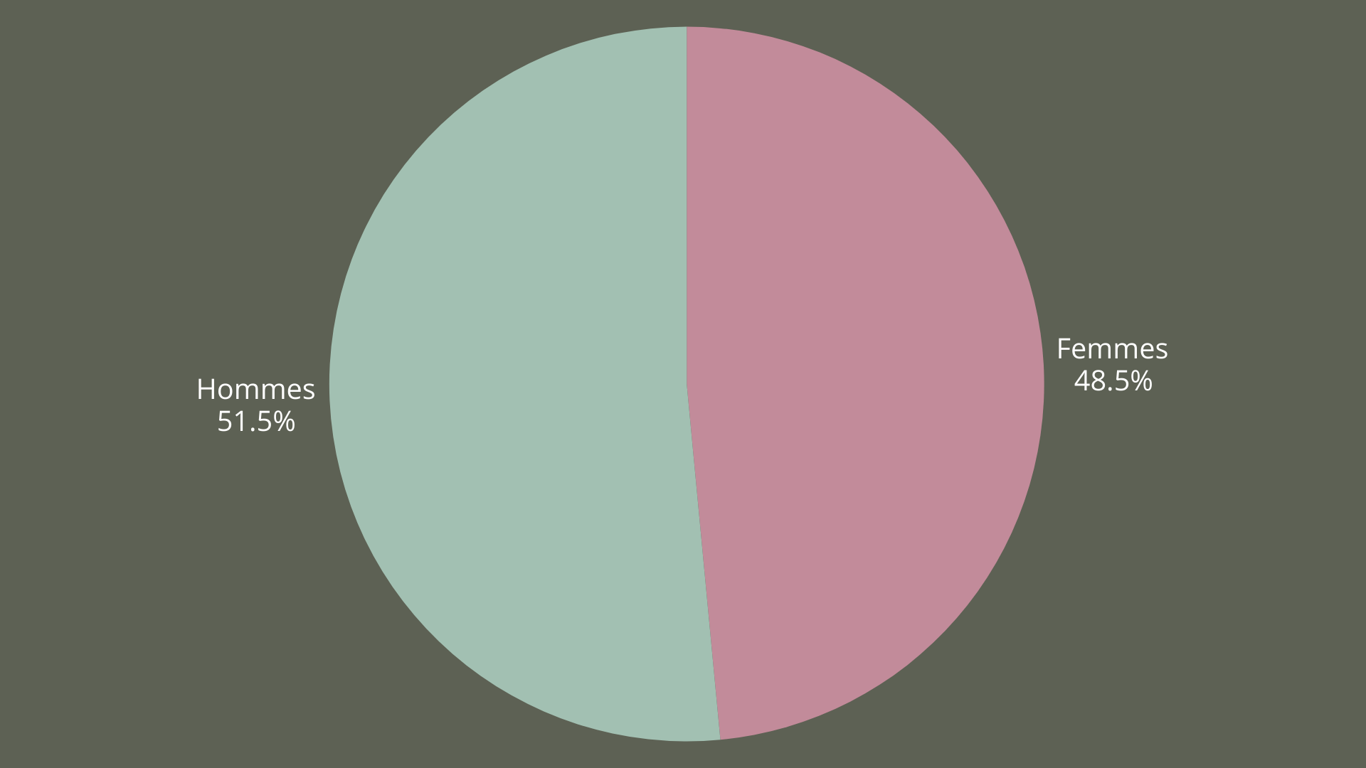 Diagramme circulaire montrant la répartition entre hommes et femmes, avec 51,5% d'hommes et 48,5% de femmes.