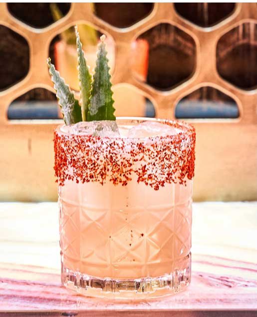 Pink cocktail in a patterned glass with a chili powder rim, garnished with aloe leaves.