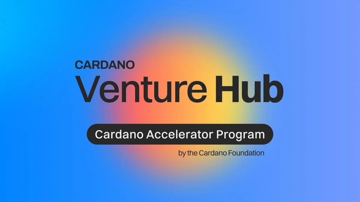 The Mint Admitted to the Cardano Accelerator Program