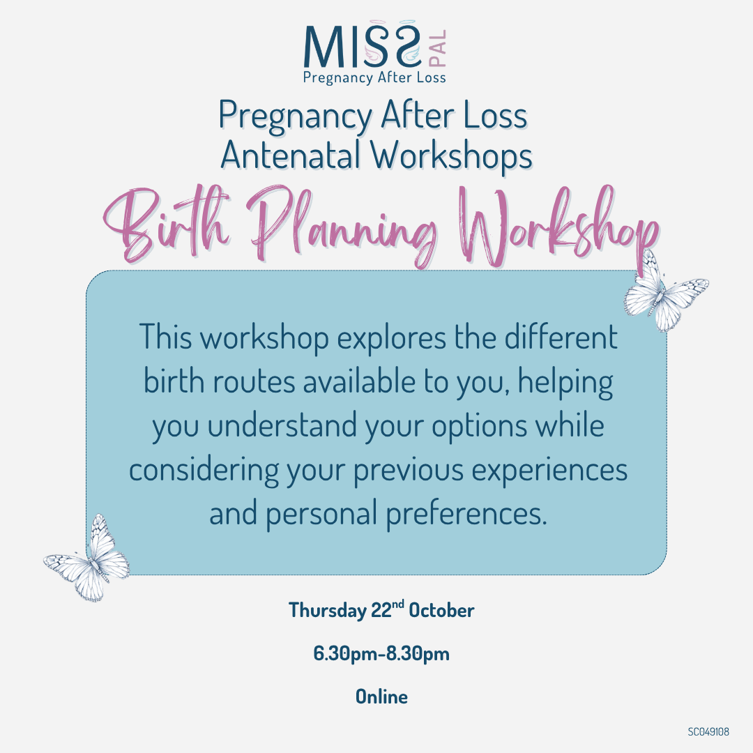 Pregnancy After Loss: Birth Planning Workshop