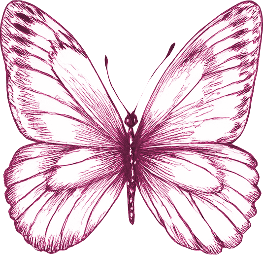 A pink and white butterfly with detailed wings.
